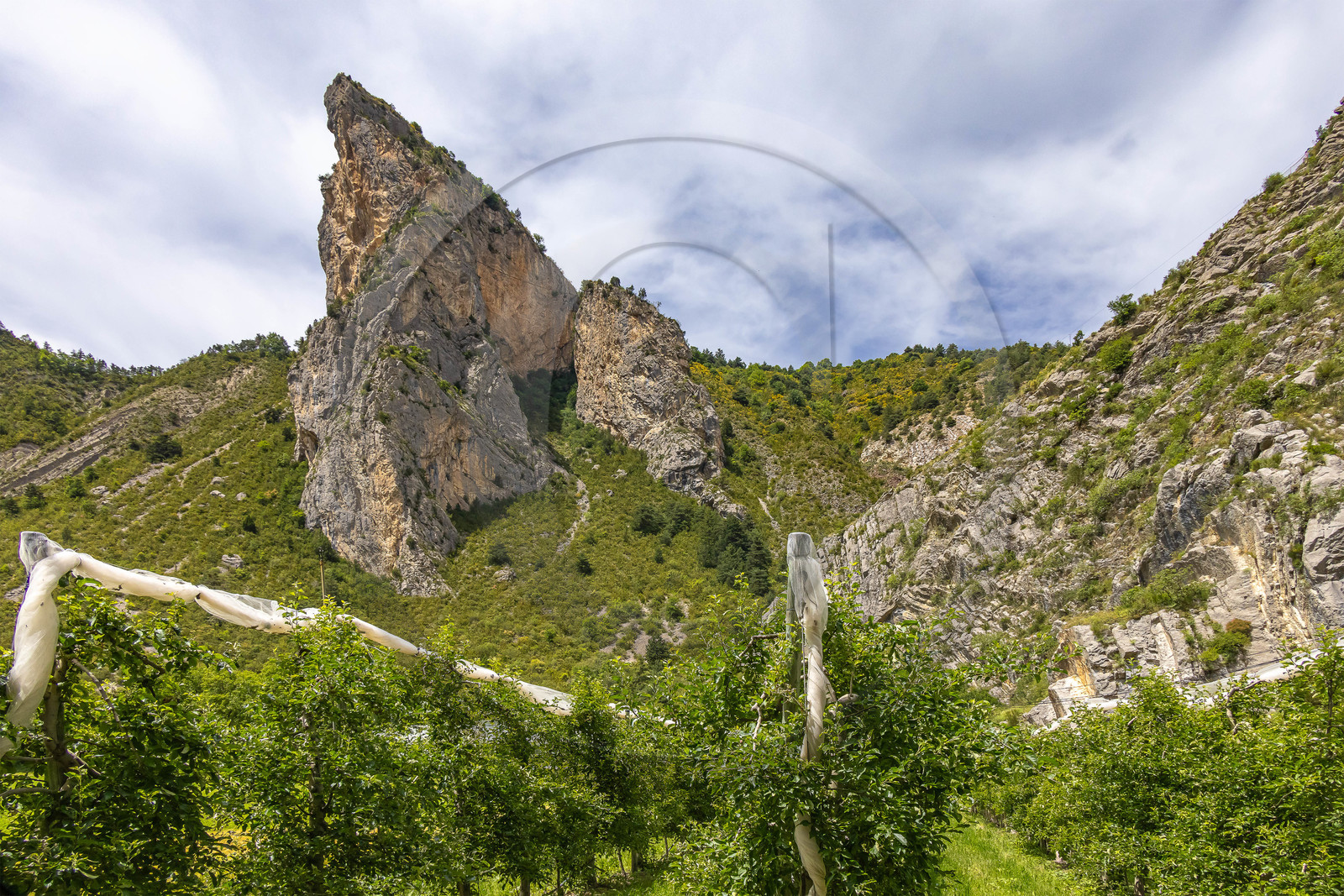 Le Caire, La Fougère