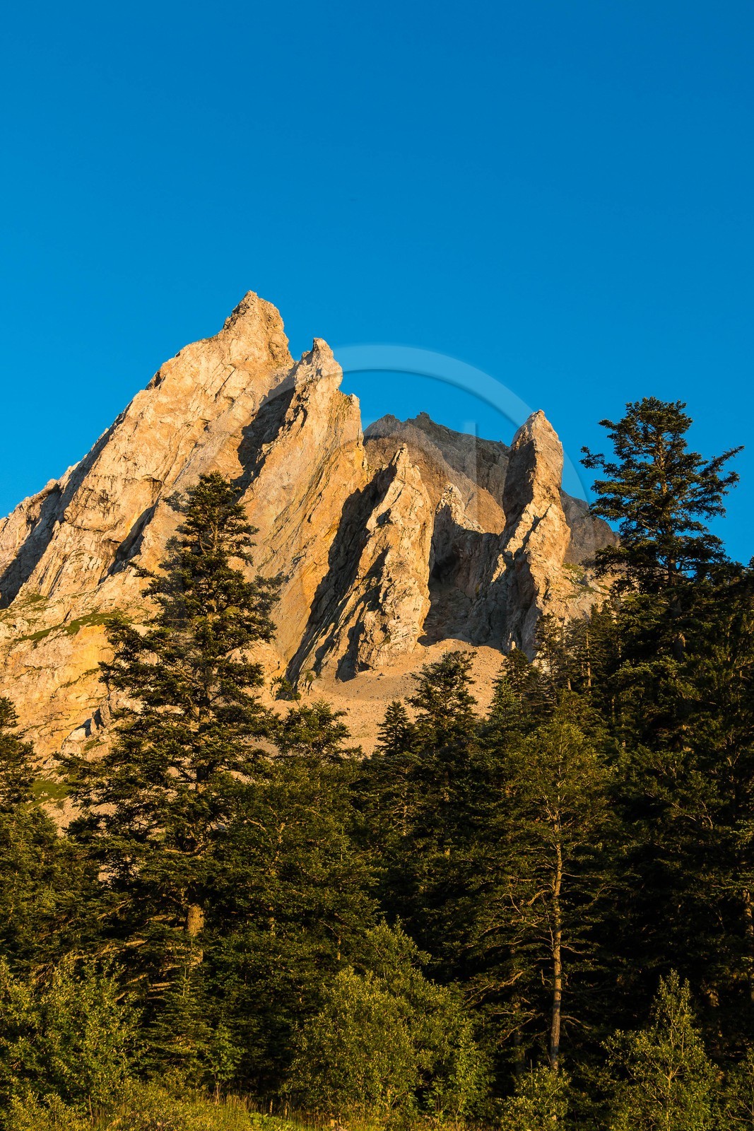 vallon de La Jarjatte