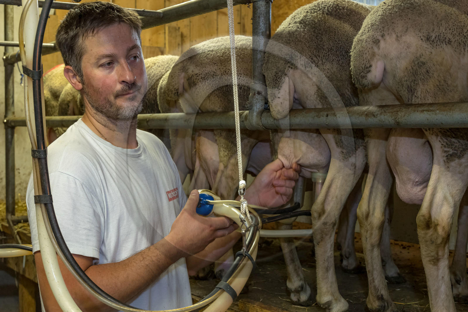 Bergerie de la Lignarre