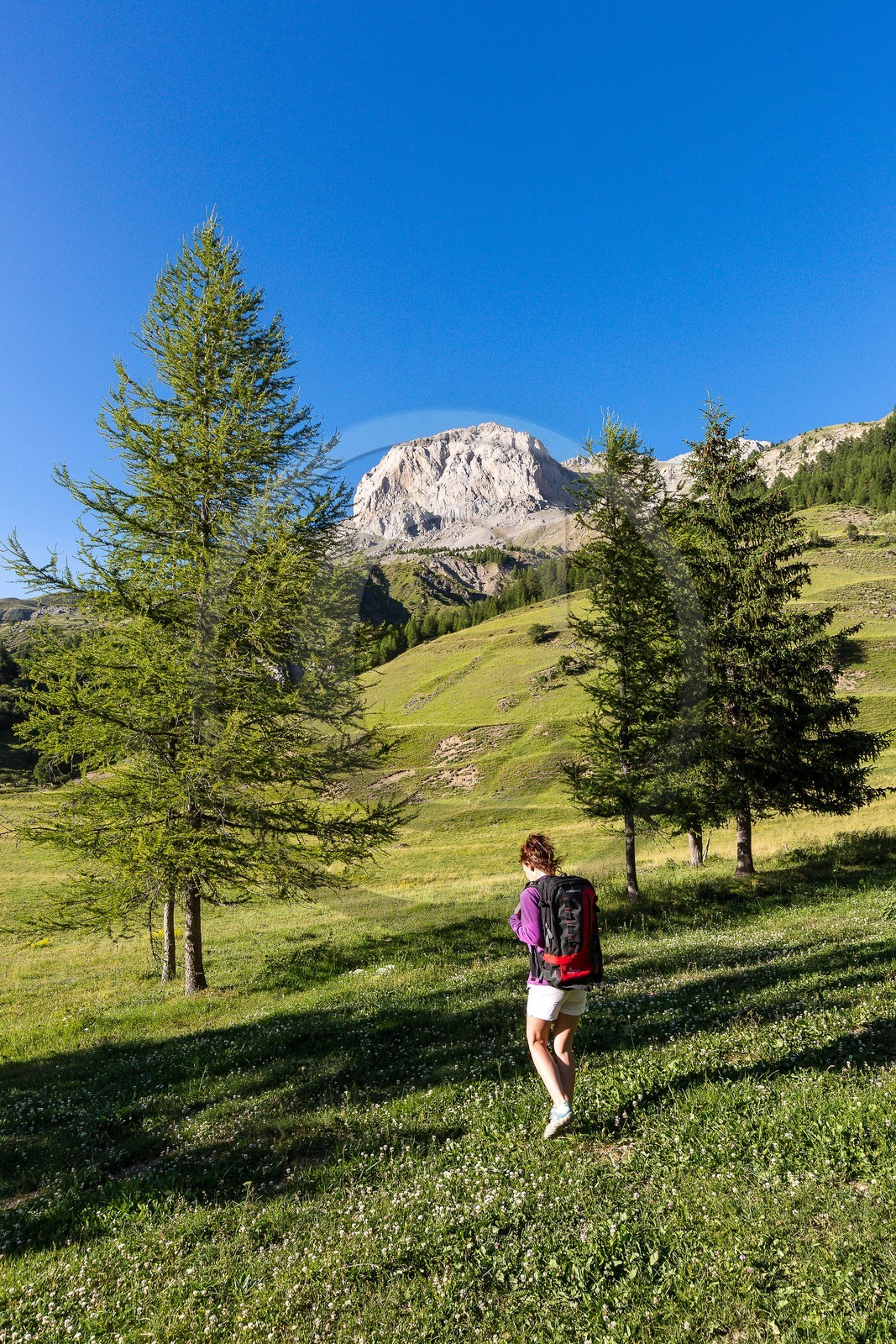 Ubaye, Vallon du Laverq
