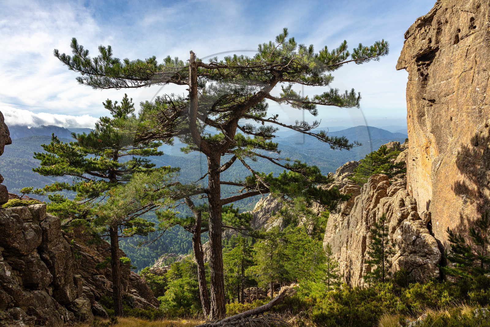 Les Aiguilles de Bavella (forchi di Bavedda )