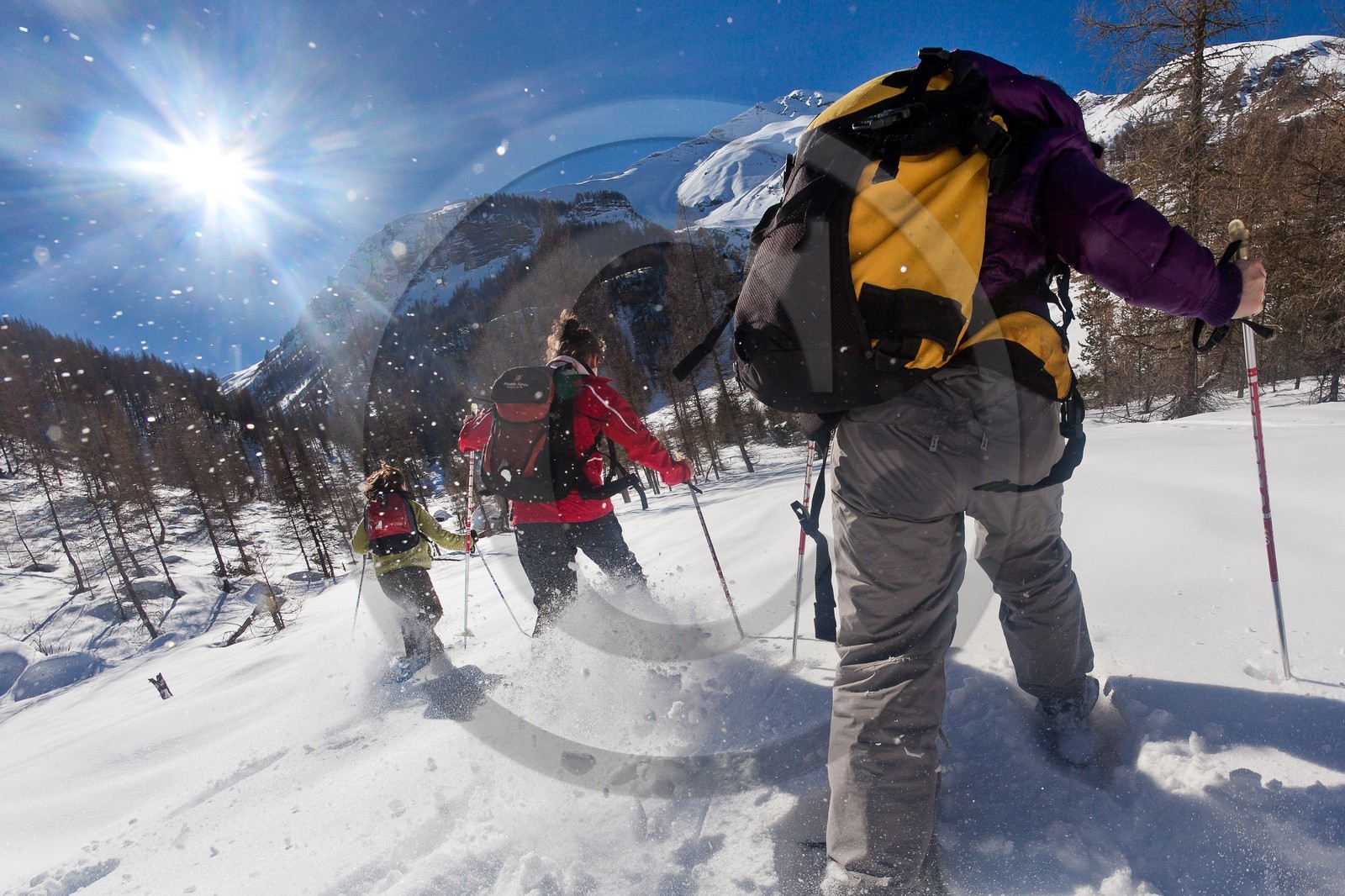 Randonnée raquettes