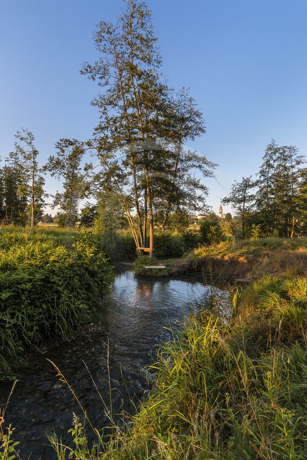 ENS de l'Isère, Prairies inondables de Pont-Évêque