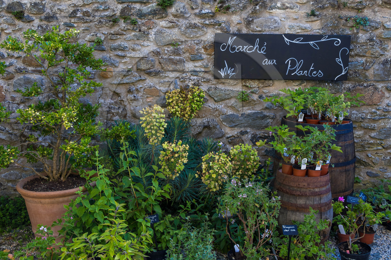 Jardin des Cinq Sens