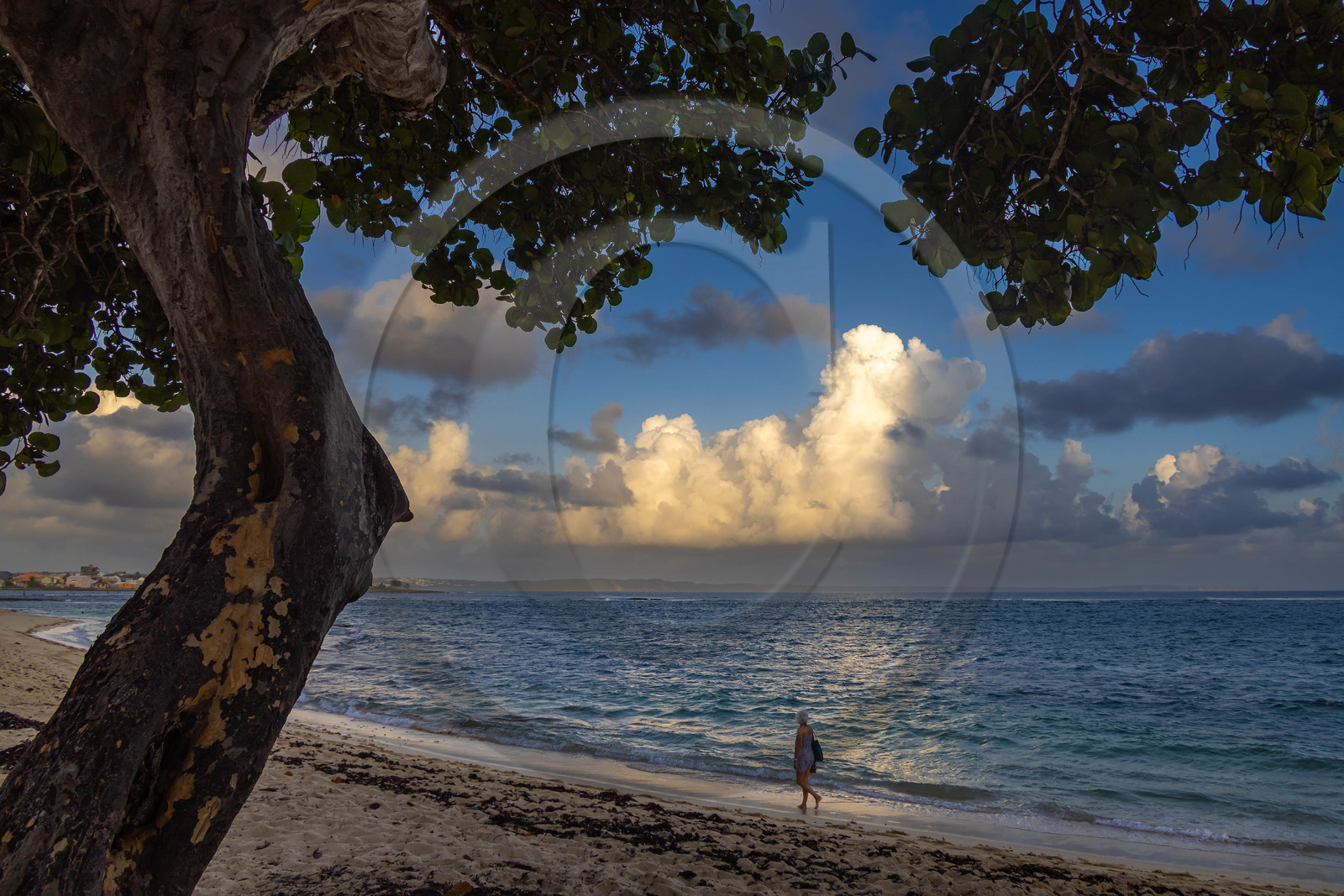Guadeloupe, Le Moule, plage de L'Autre Bord