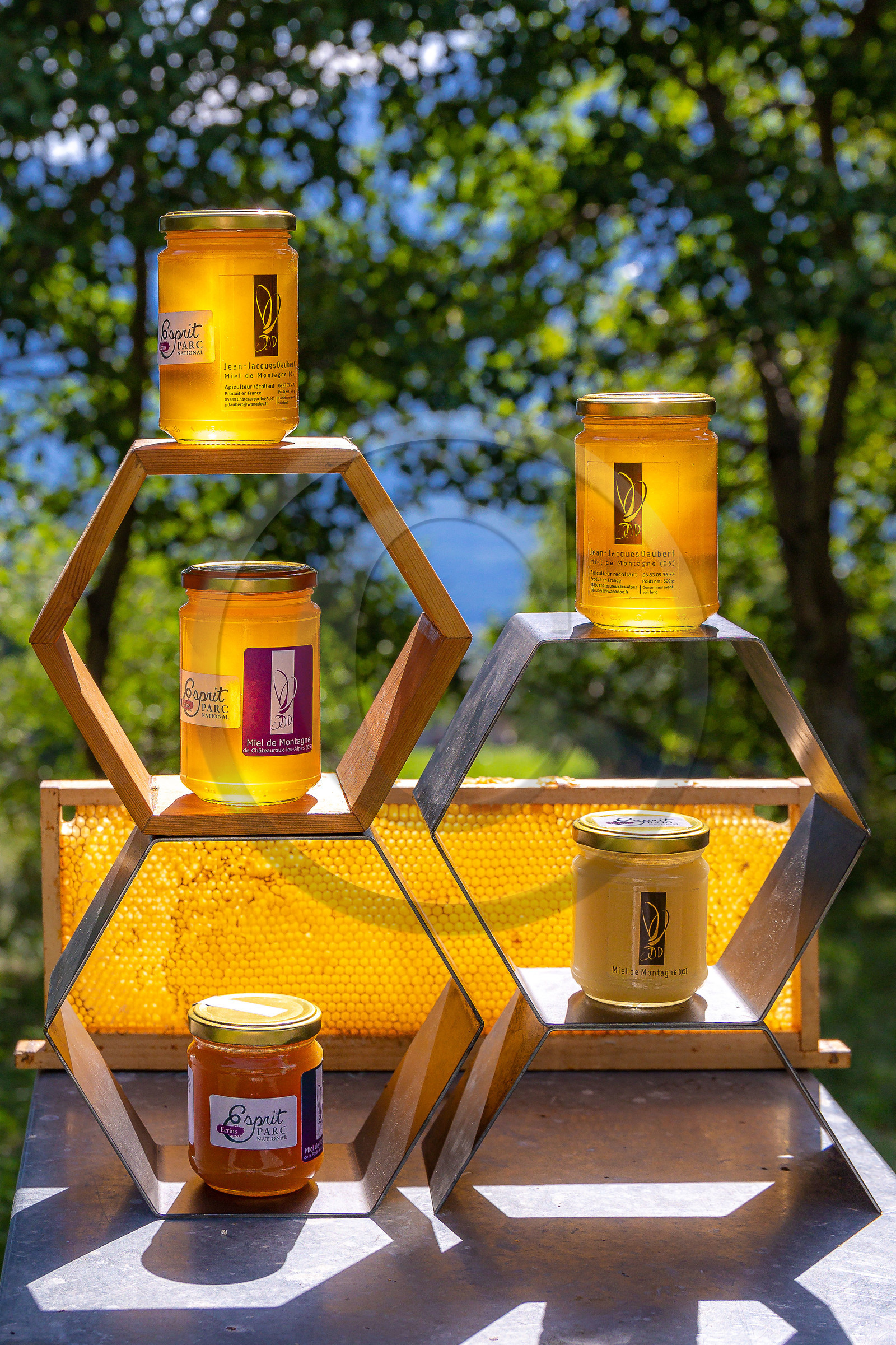 Jean-Jacques Daubert - Apiculteur