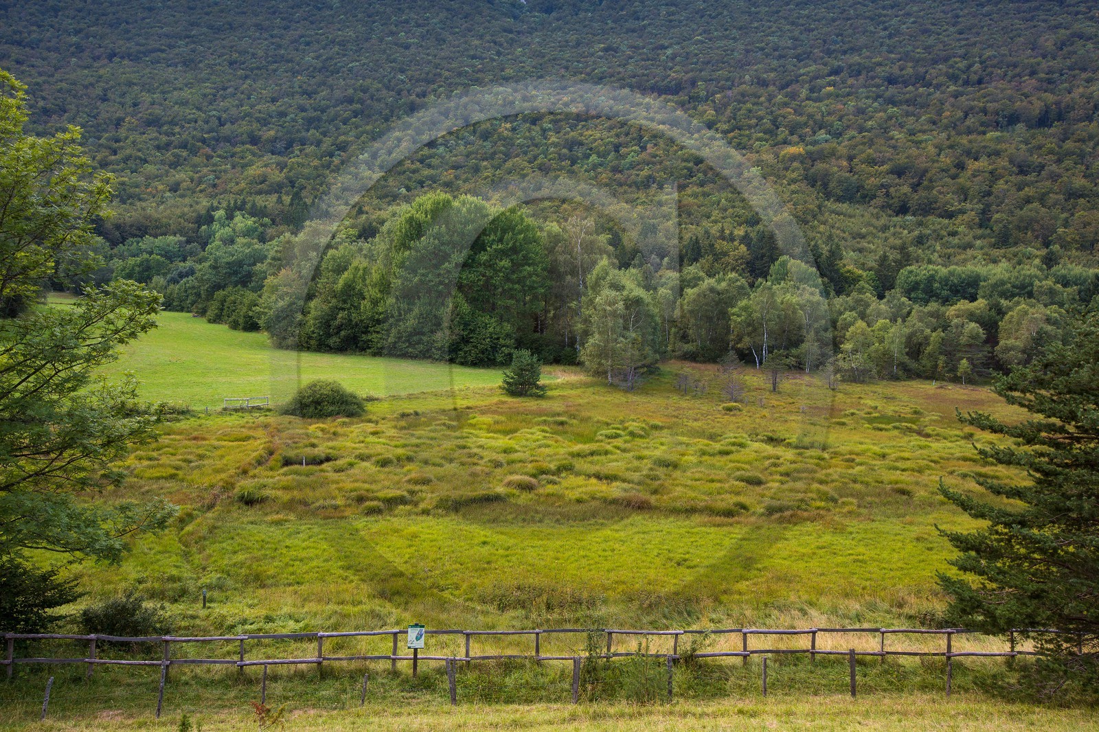 ENS de l'Isère,Tourbières du Peuil