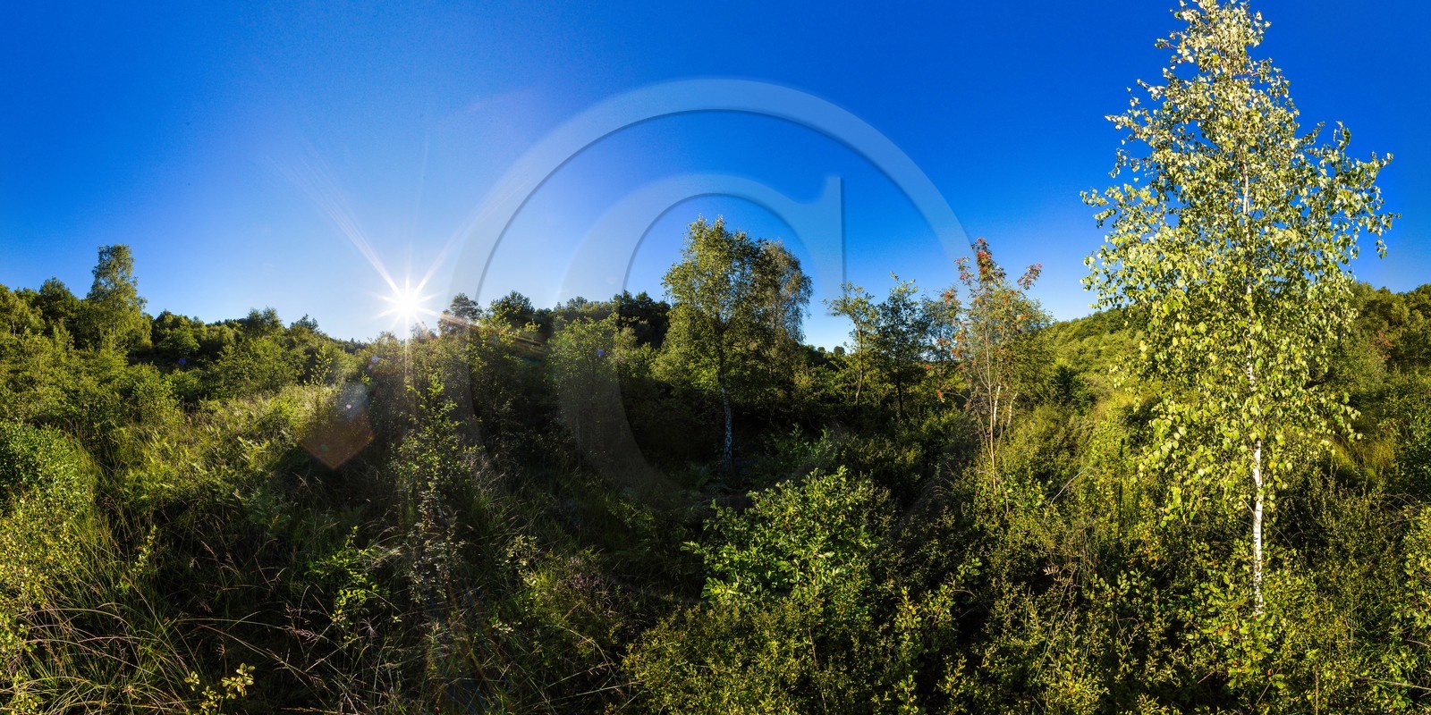ENS de l'Isère, Tourbière des Planchettes