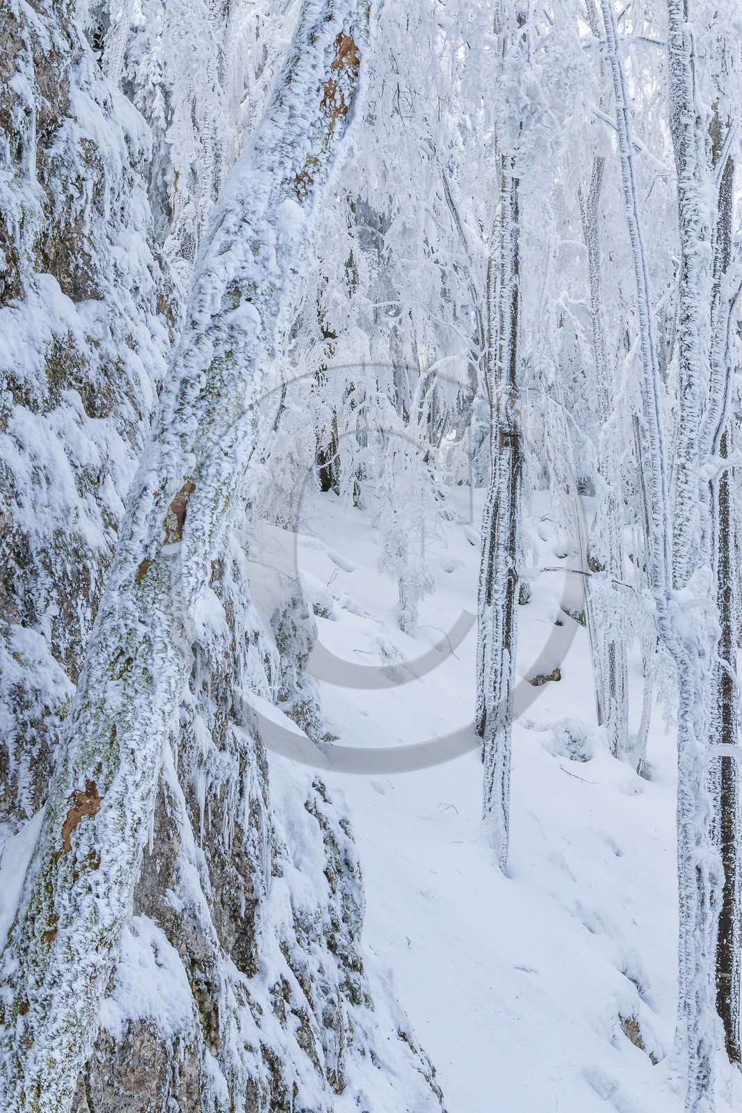 ENS de l'Isère, Les Ecouges