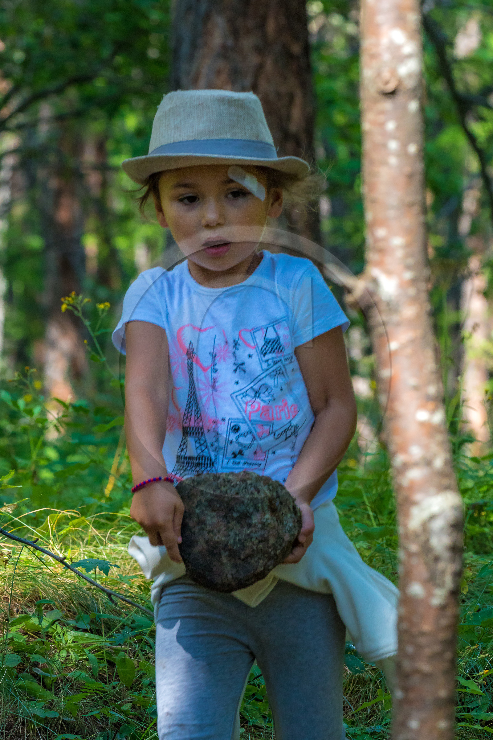 Curieux de nature, sortie découverte avec Cyril Mahout