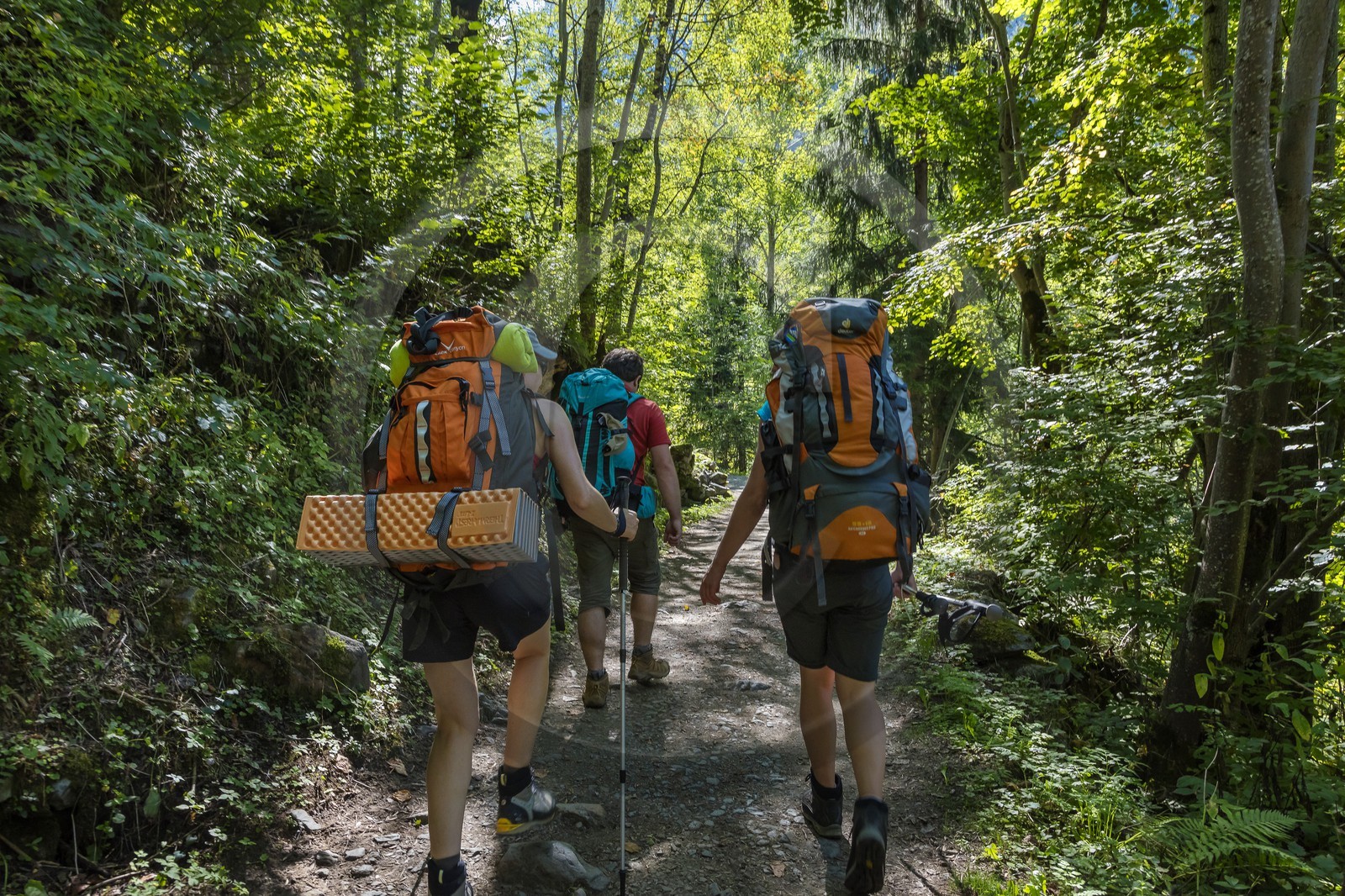 Randonnée pédestre sur le GR54
