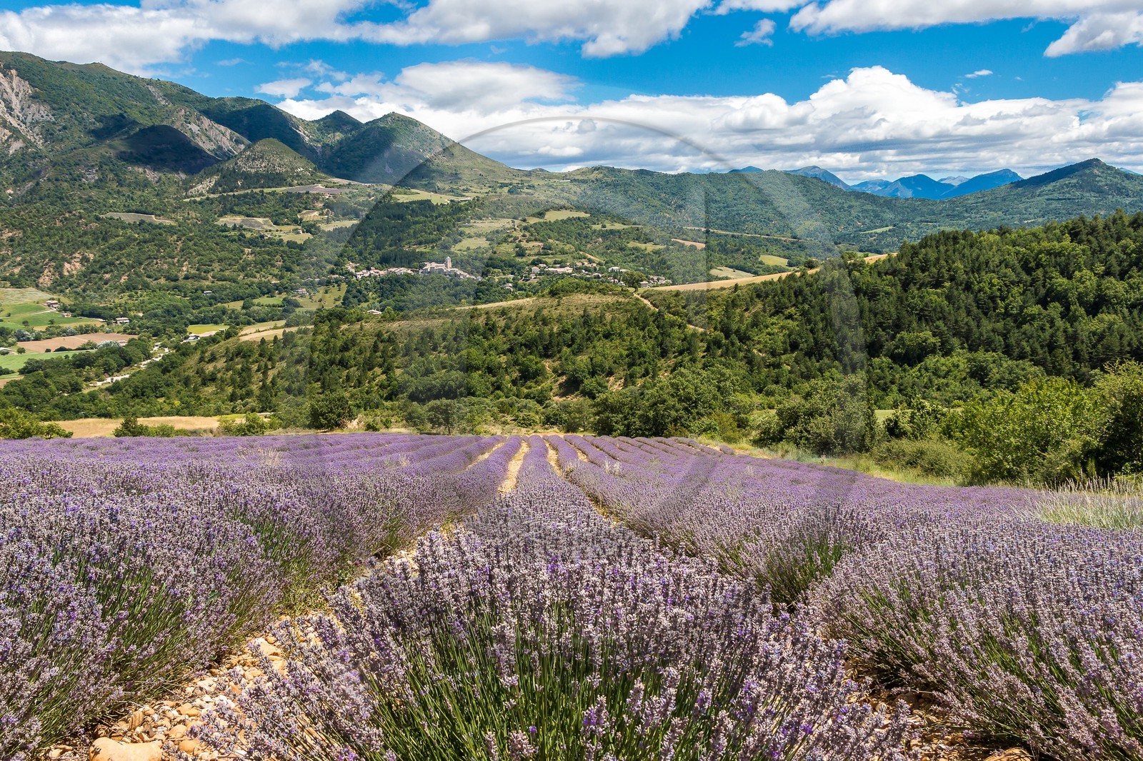 vallée des Duyes, Thoard