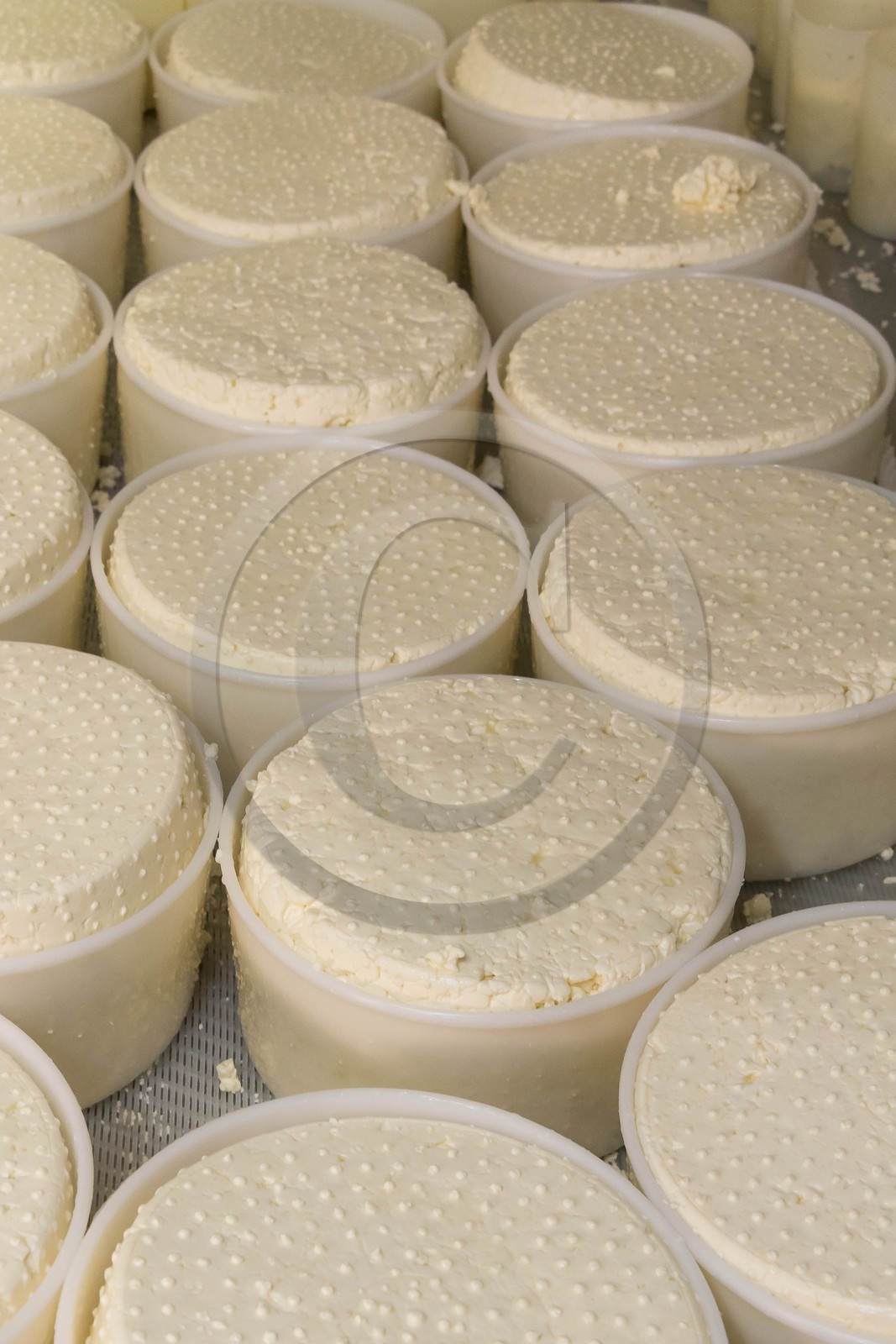 Vallée du Champsaur, fromagerie Ebrard