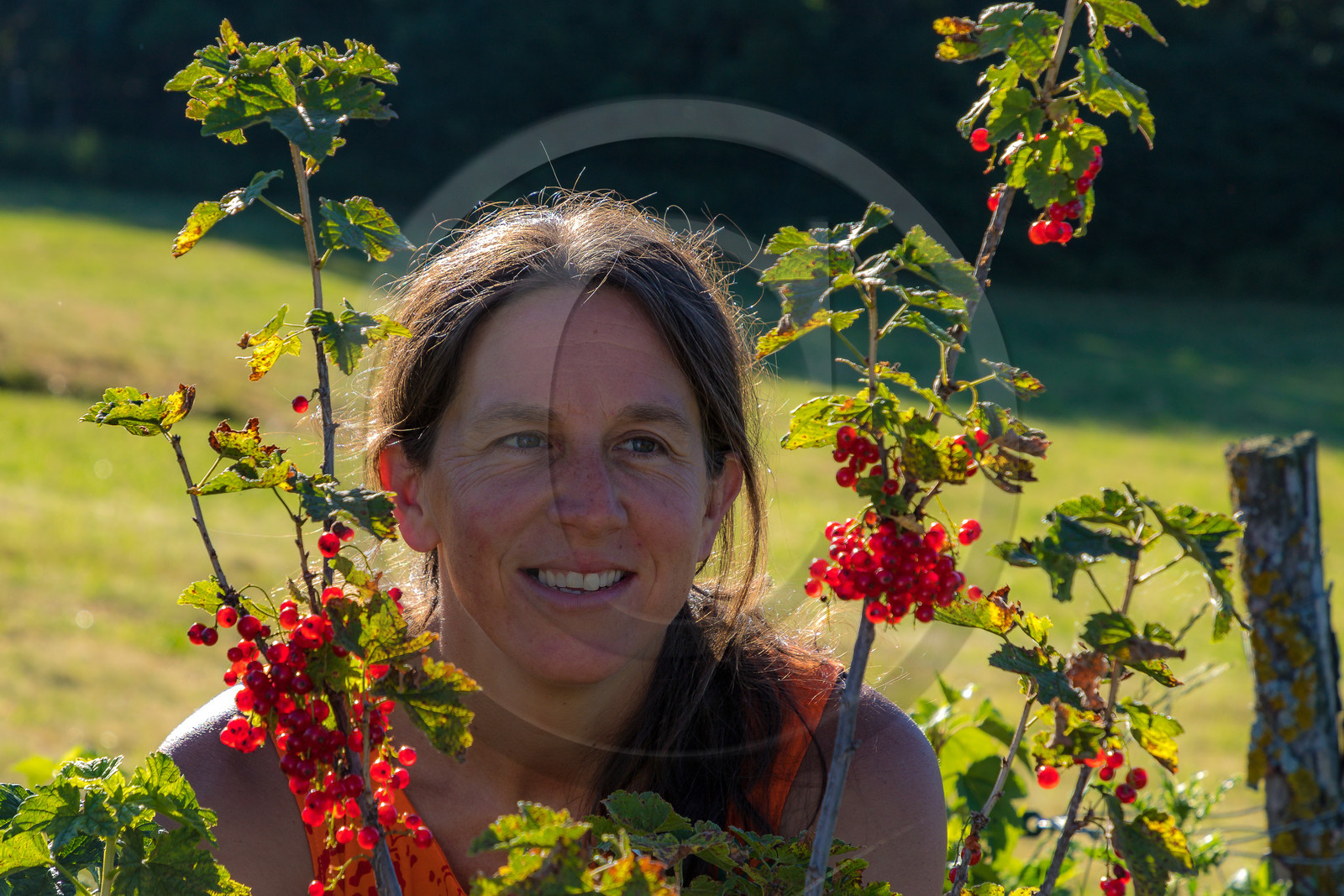 LéguMontagne Sylvie Jaussaud , Maraîchères bio