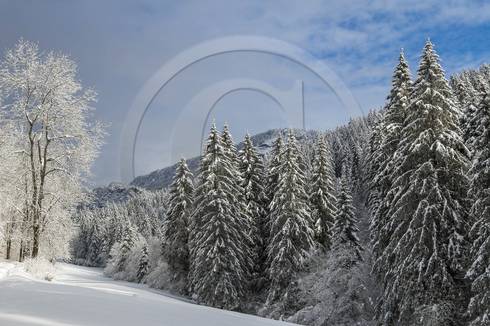 ENS de l'Isère, Les Ecouges