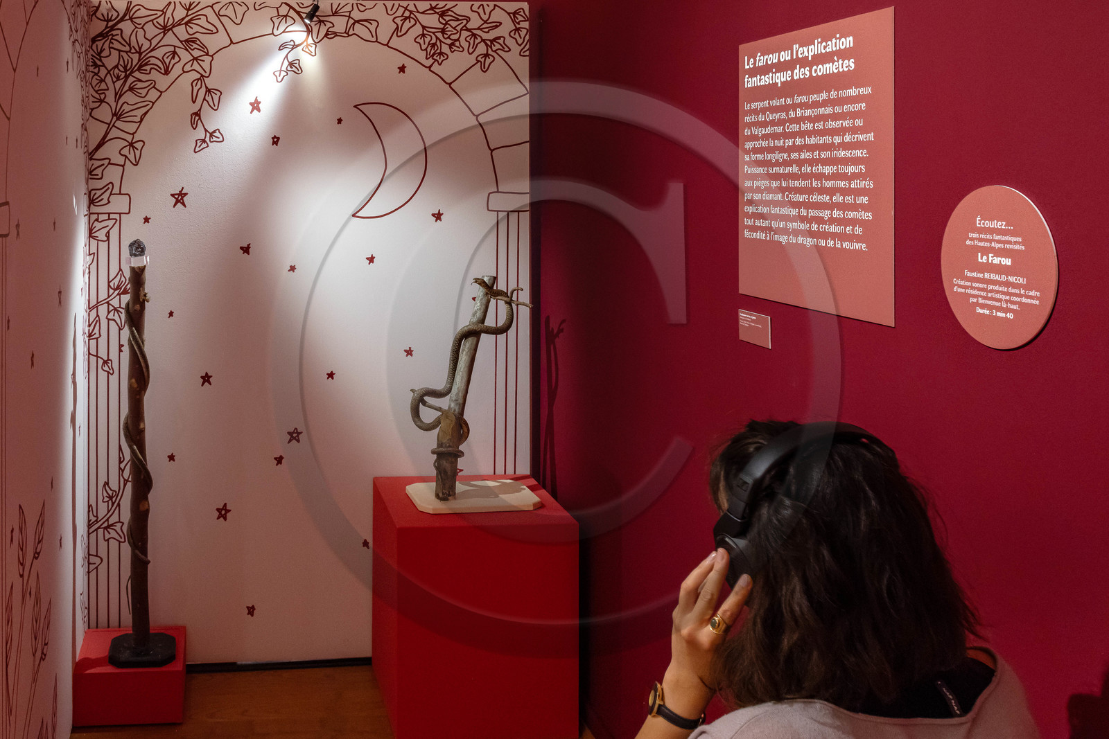 Musée Muséum départemental des Hautes-Alpes, Exposition Nuit