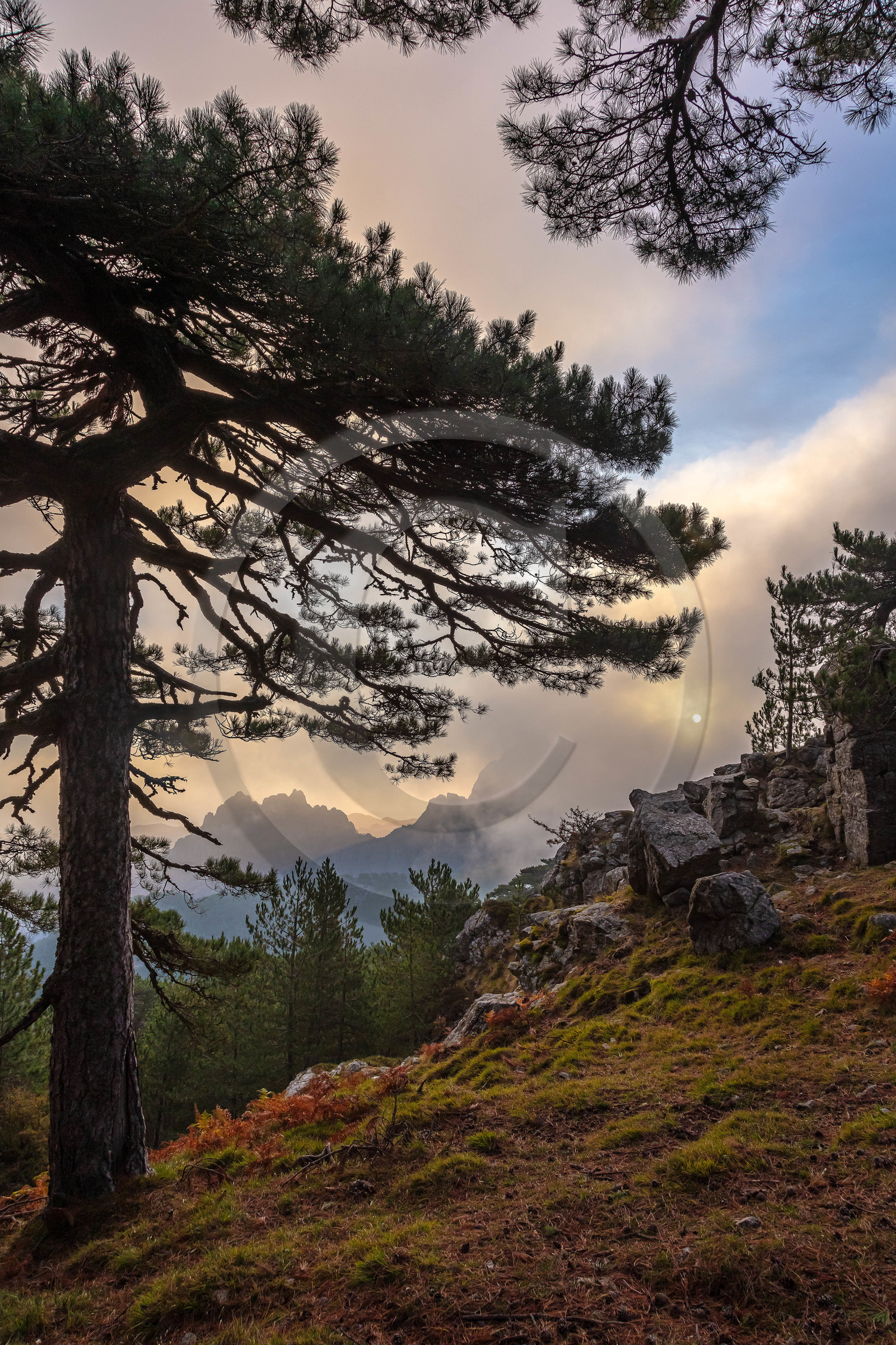 Les Aiguilles de Bavella (forchi di Bavedda )