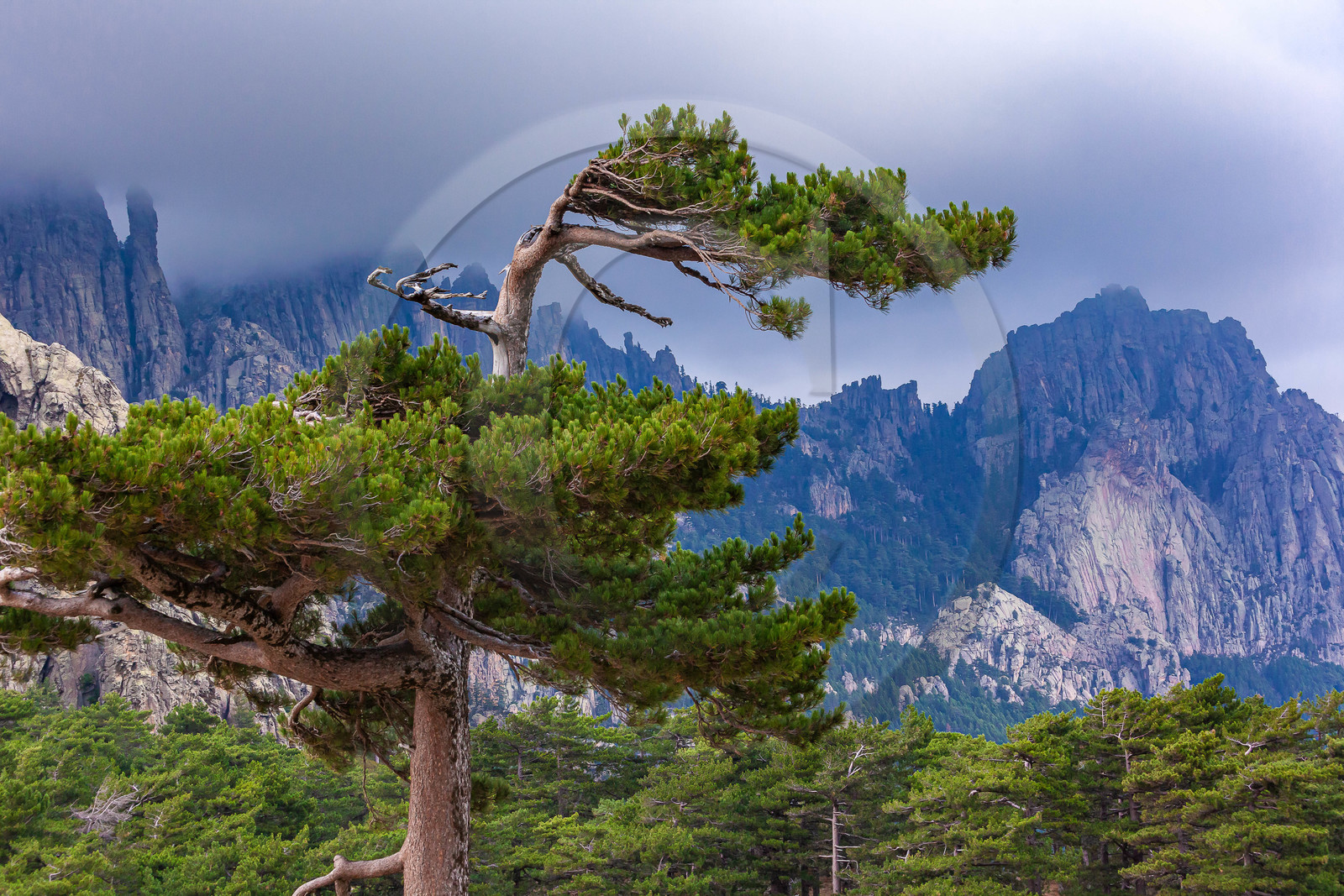 Les Aiguilles de Bavella (forchi di Bavedda )