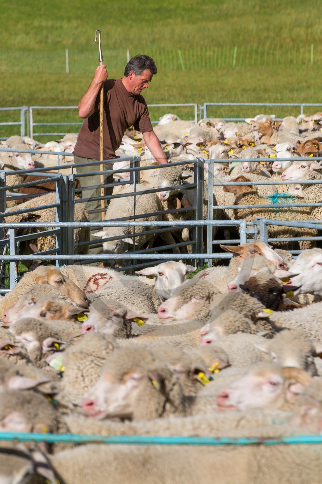 Le Désert, désenmontagnage