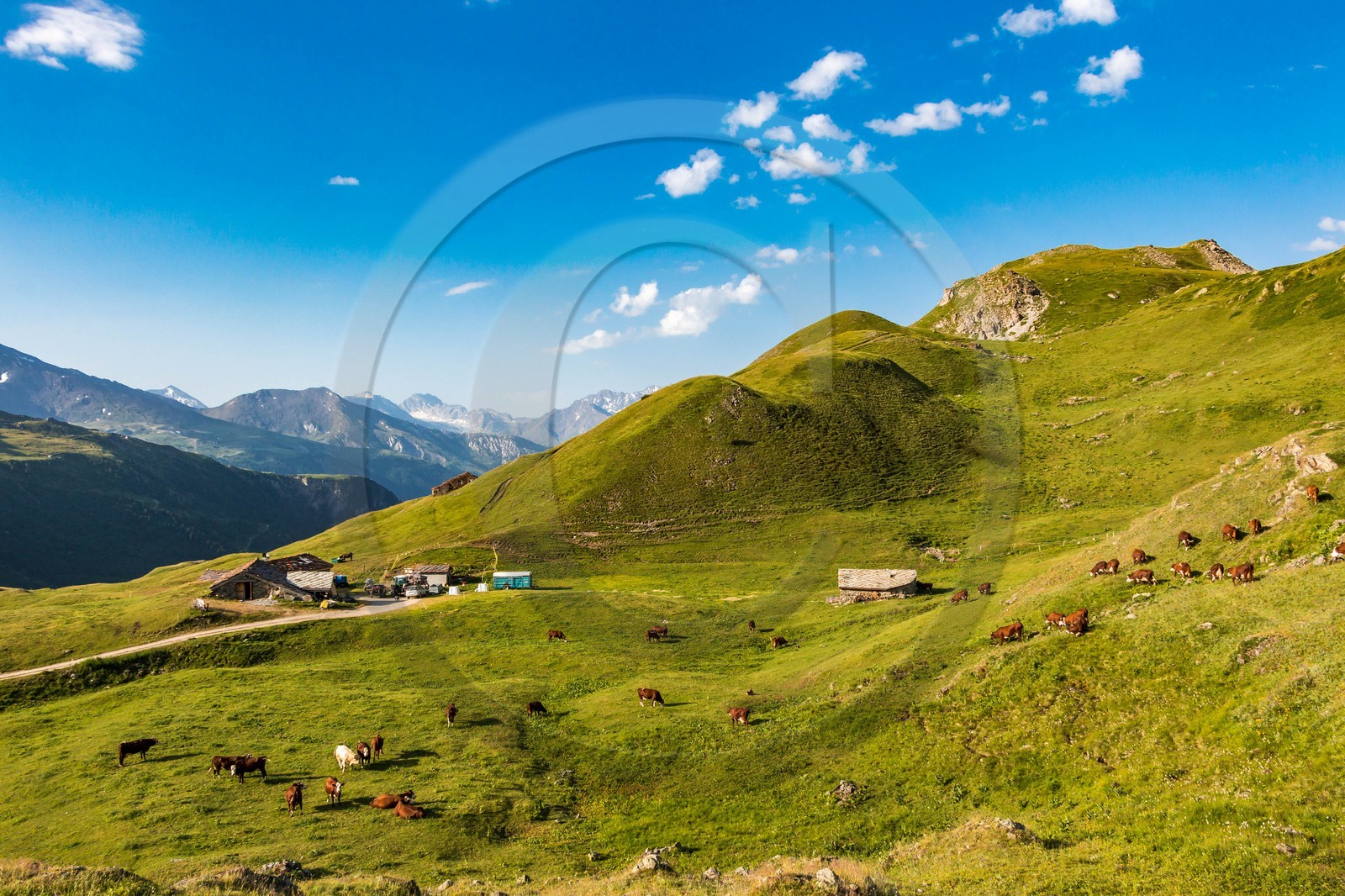Termignon, alpage de Chavières