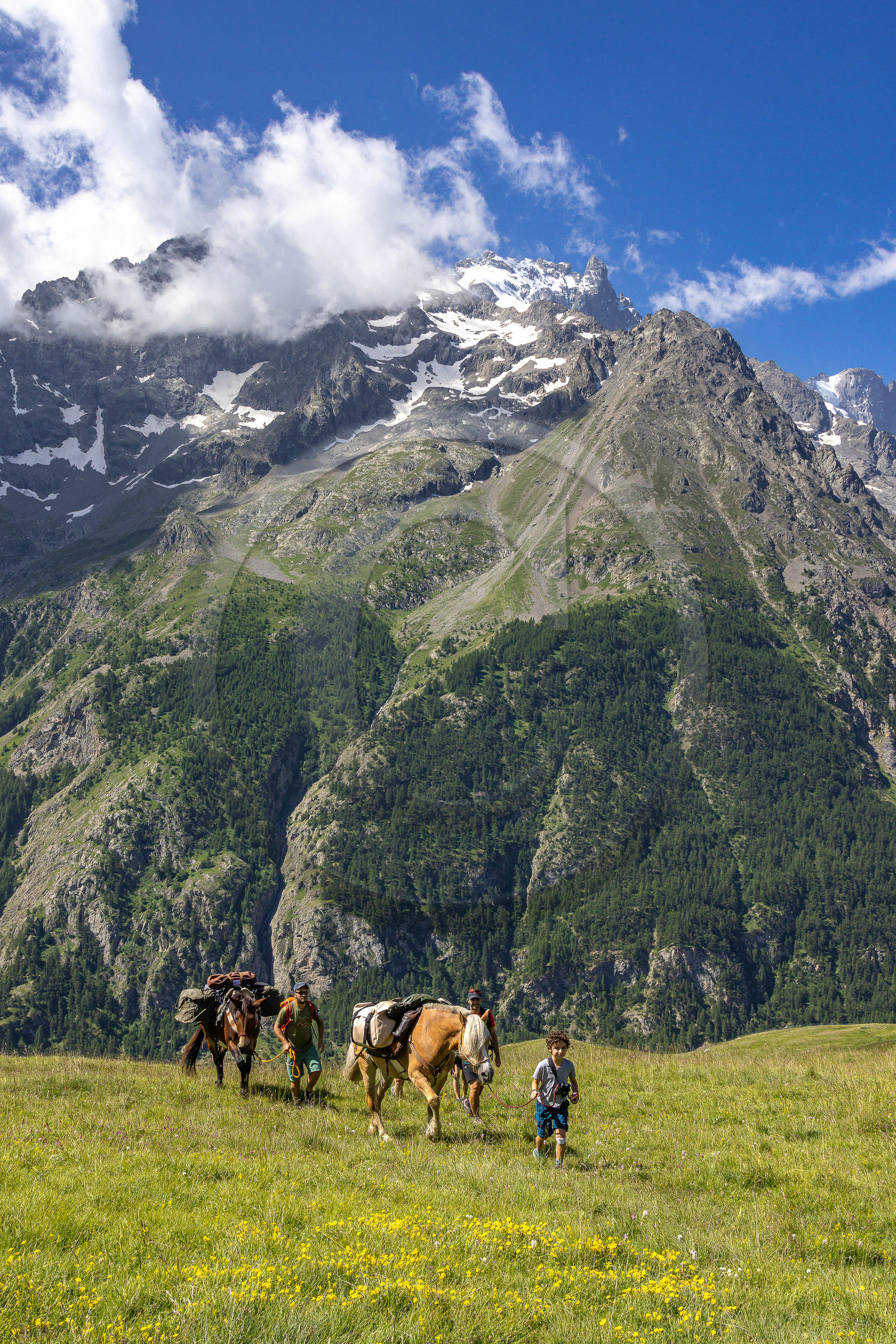 Trek famille avec animaux de bats