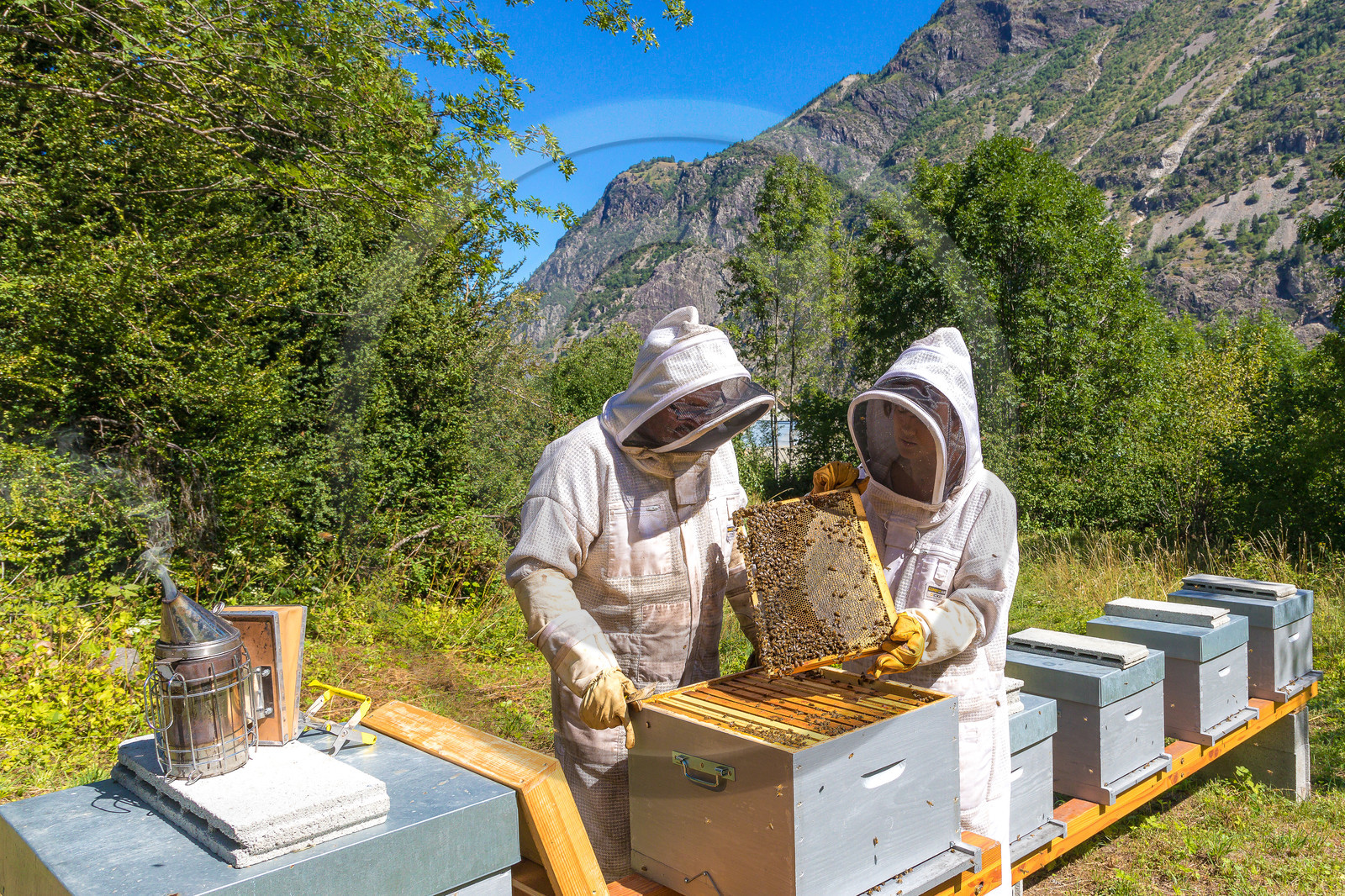 Margaux et Didier Pissard, apiculteurs