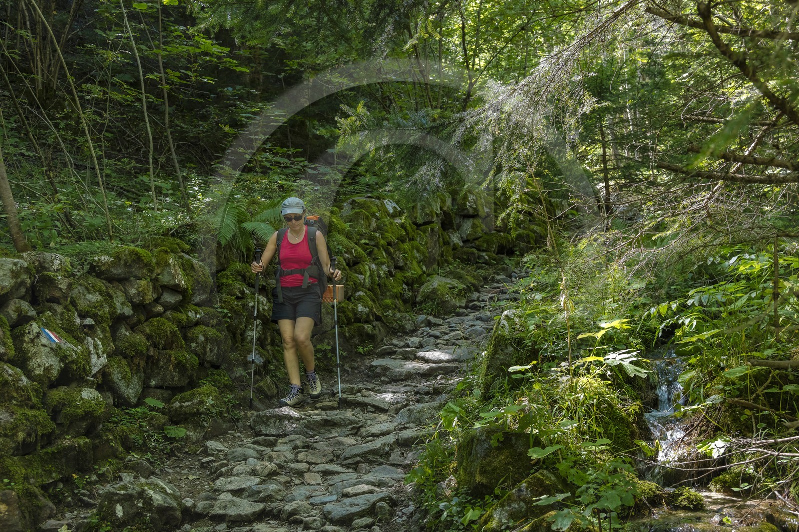Randonnée pédestre sur le GR54