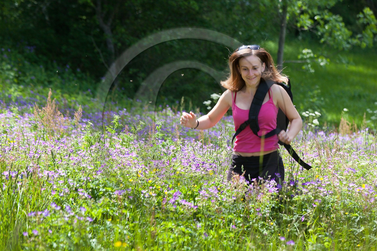 Randonnée champêtre