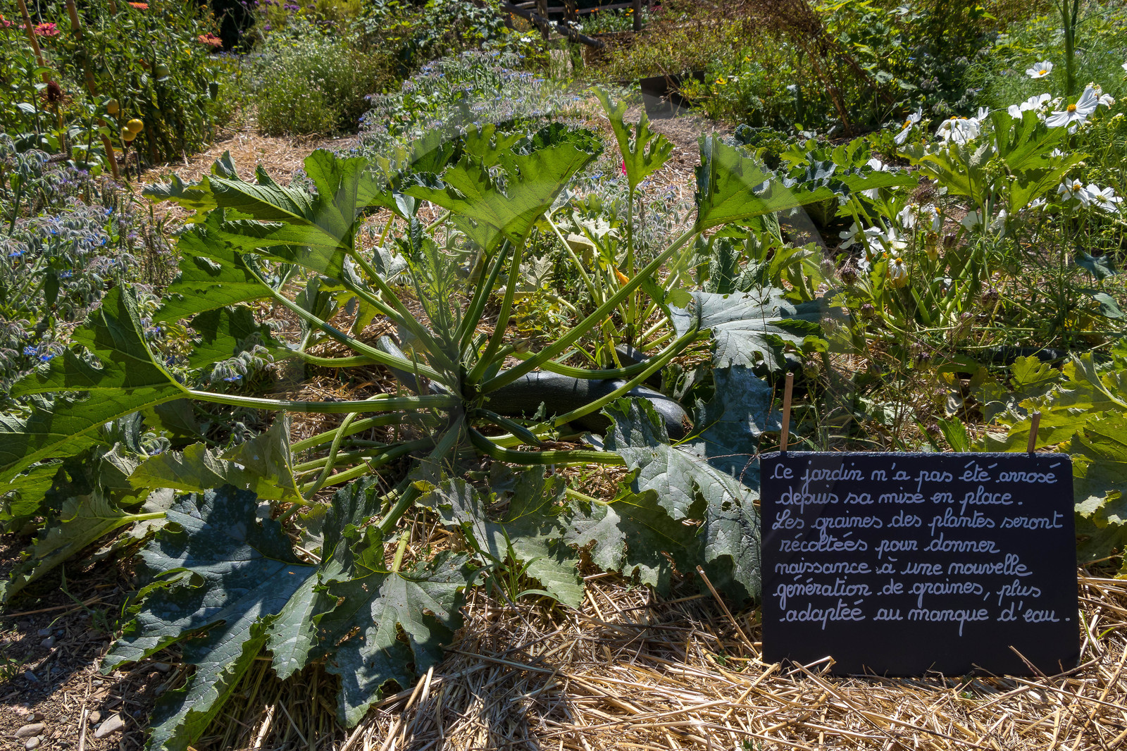 Parc écologique Terre Vivante