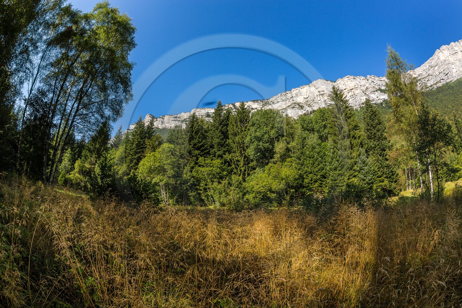 ENS de l'Isère,Tourbières du Peuil