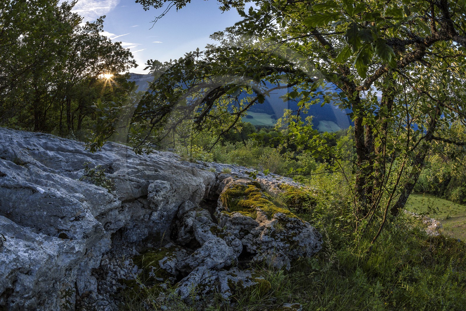 ENS de l'Isère, vallée fossile des Rimets