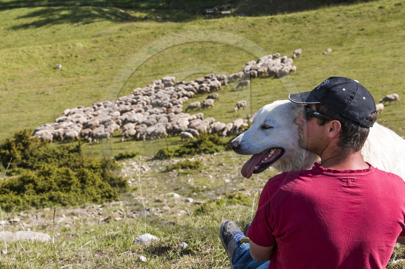 Ferme des Sonnailles, famille Pellissier