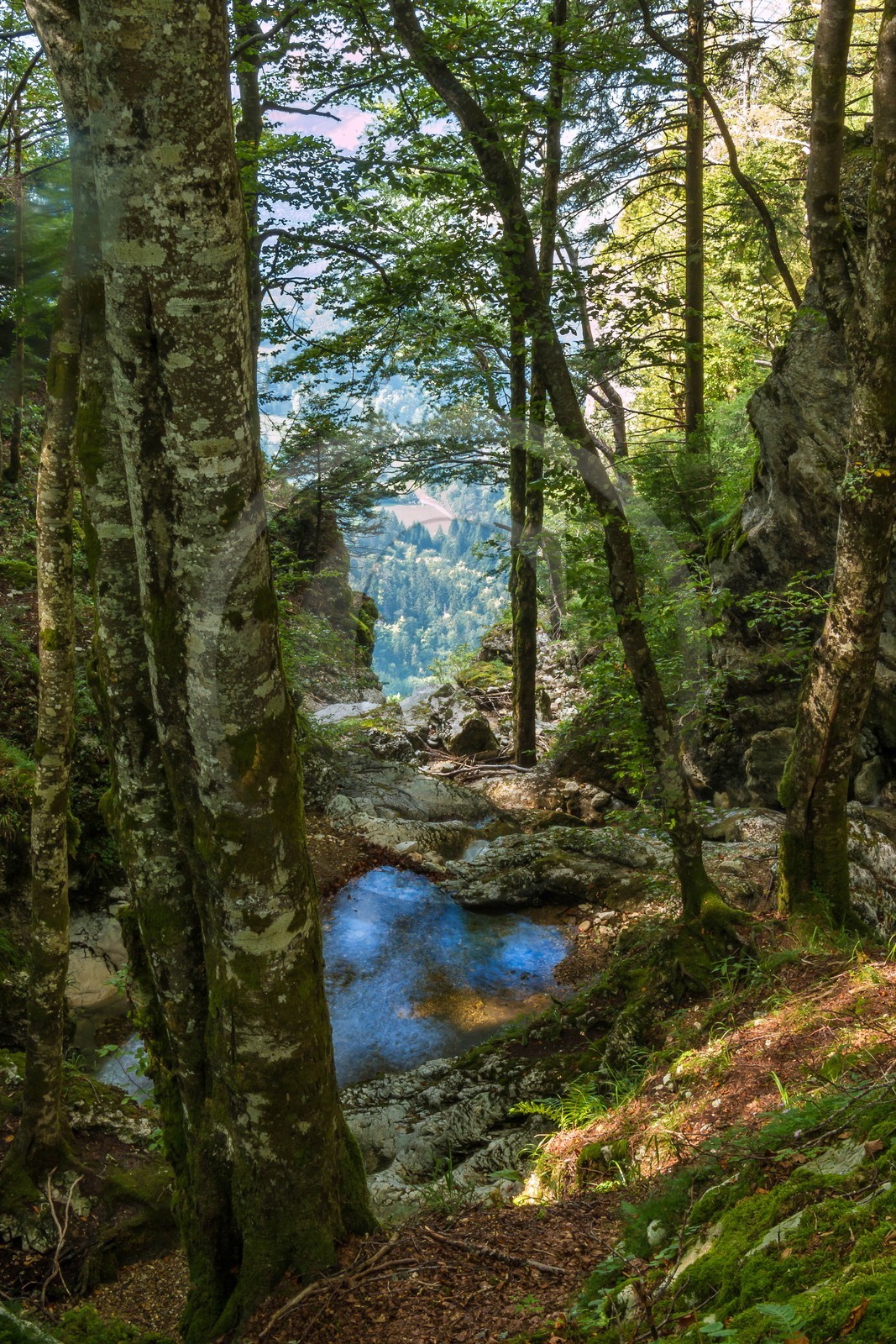 ENS de l'Isère, Les Ecouges