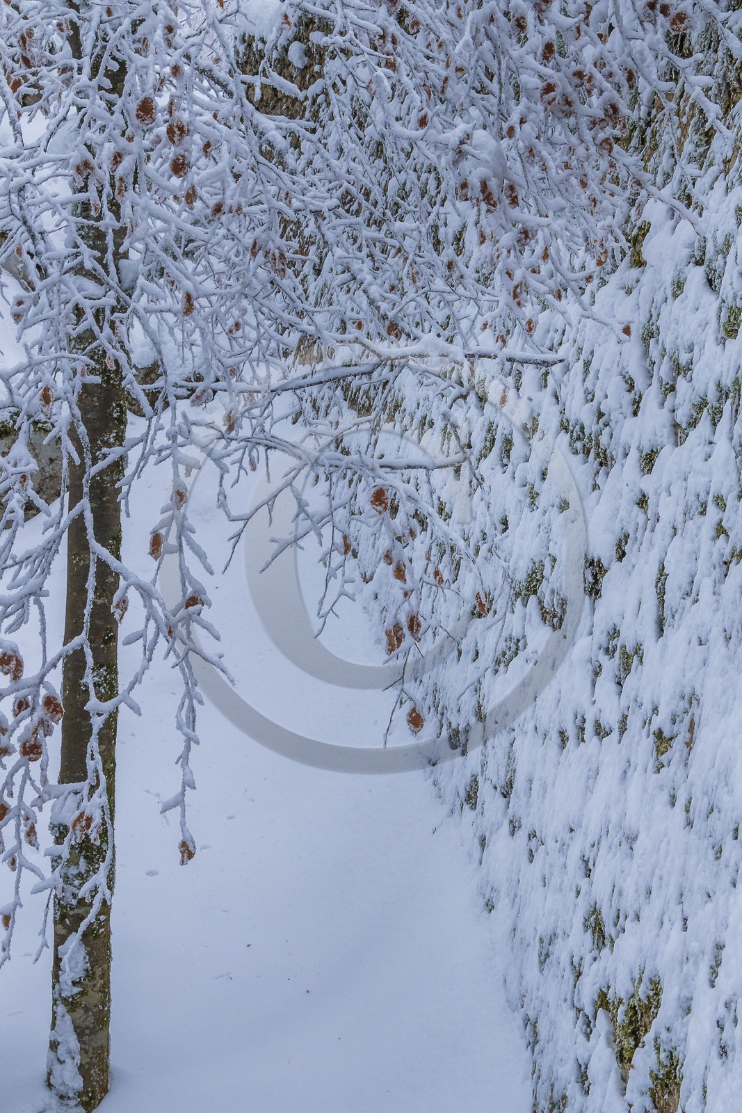 ENS de l'Isère, Les Ecouges
