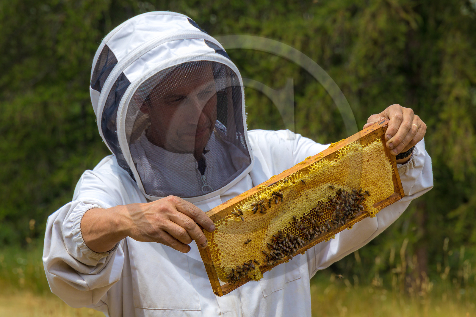 Miellerie de Serre Chevalier