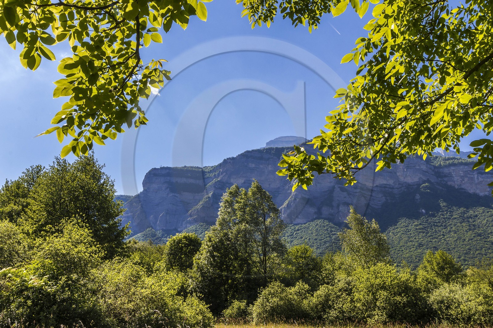 ENS de l'Isère, Marais de Montfort