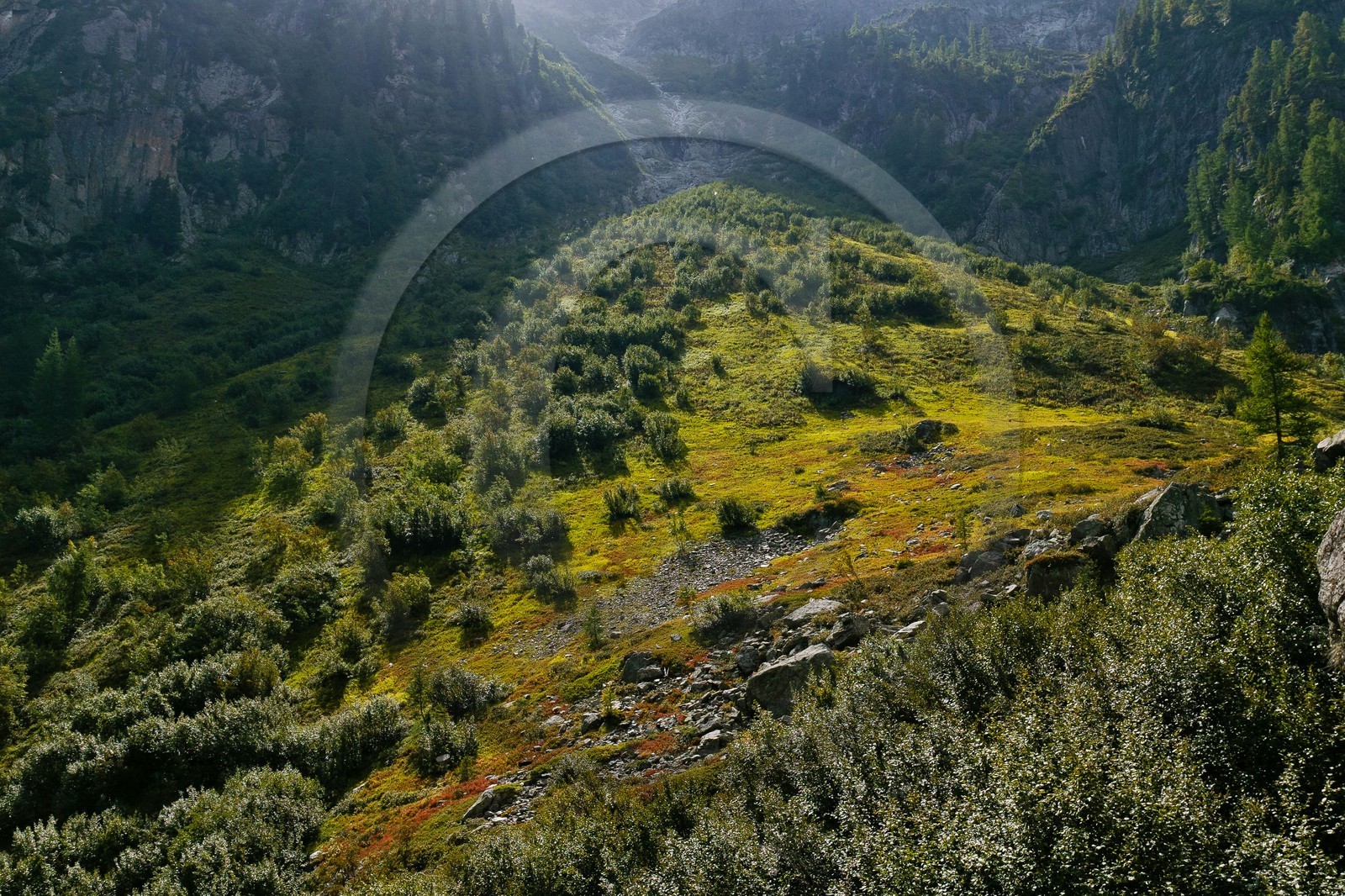 Réserve naturelle du Vallon de Bérard