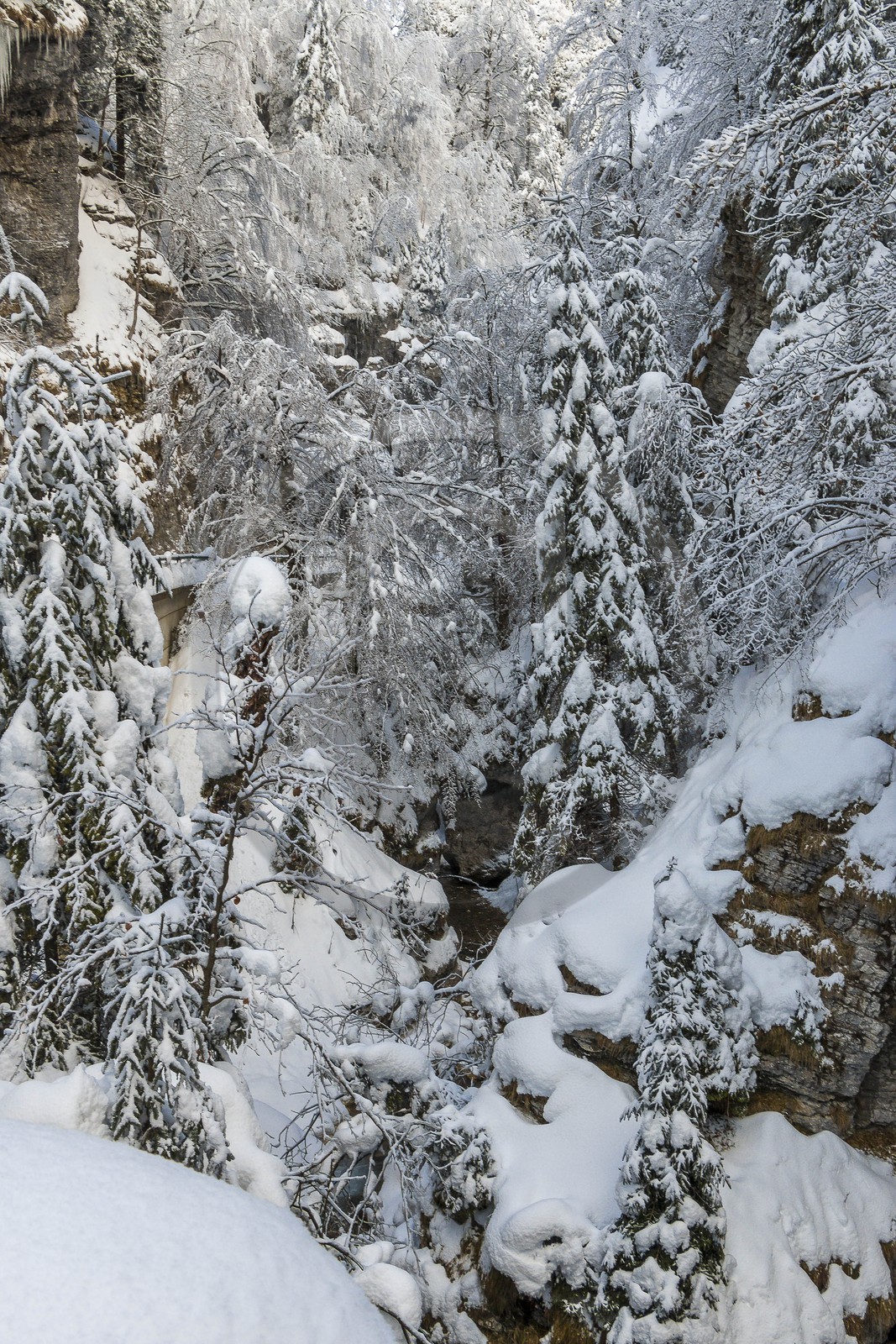 ENS de l'Isère, Les Ecouges