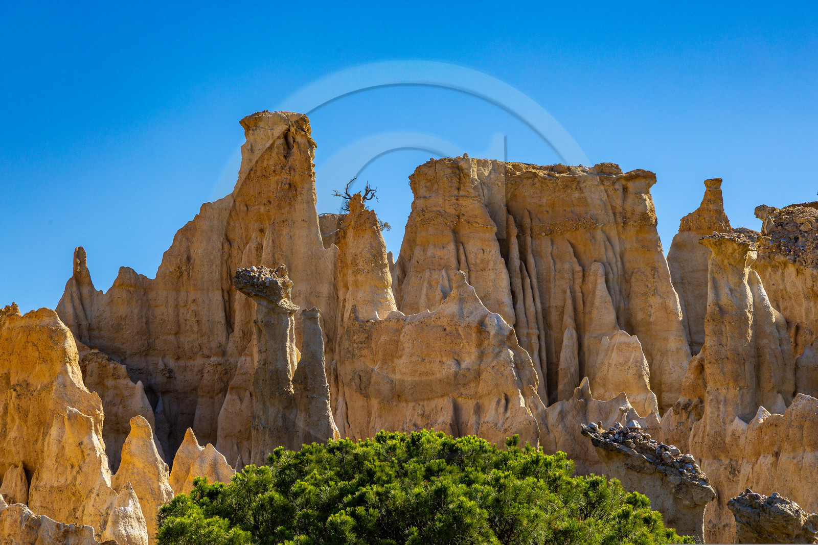 Orgues d'Ille-sur-Têt