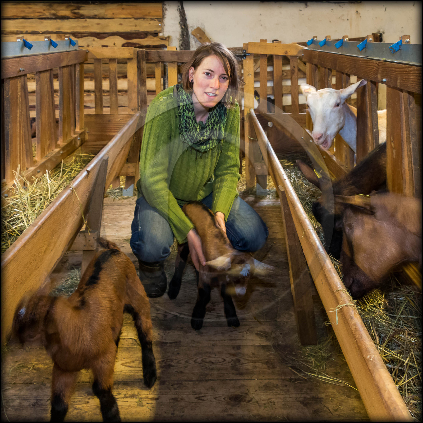 Arvieux, La Chèvrerie des Moulins