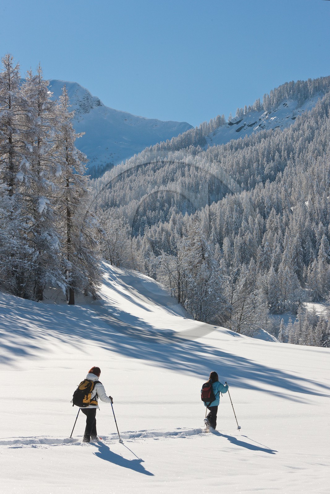 Randonnée raquettes