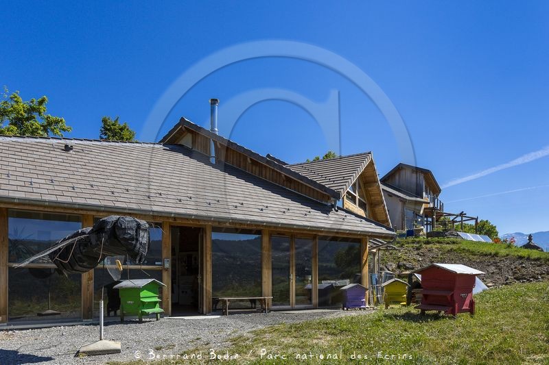 Patrick Challet apiculteur