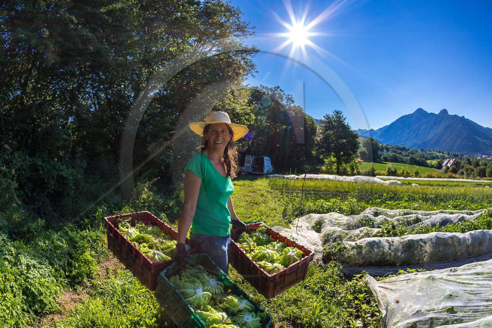 LéguMontagne Sylvie Jaussaud , Maraîchères bio