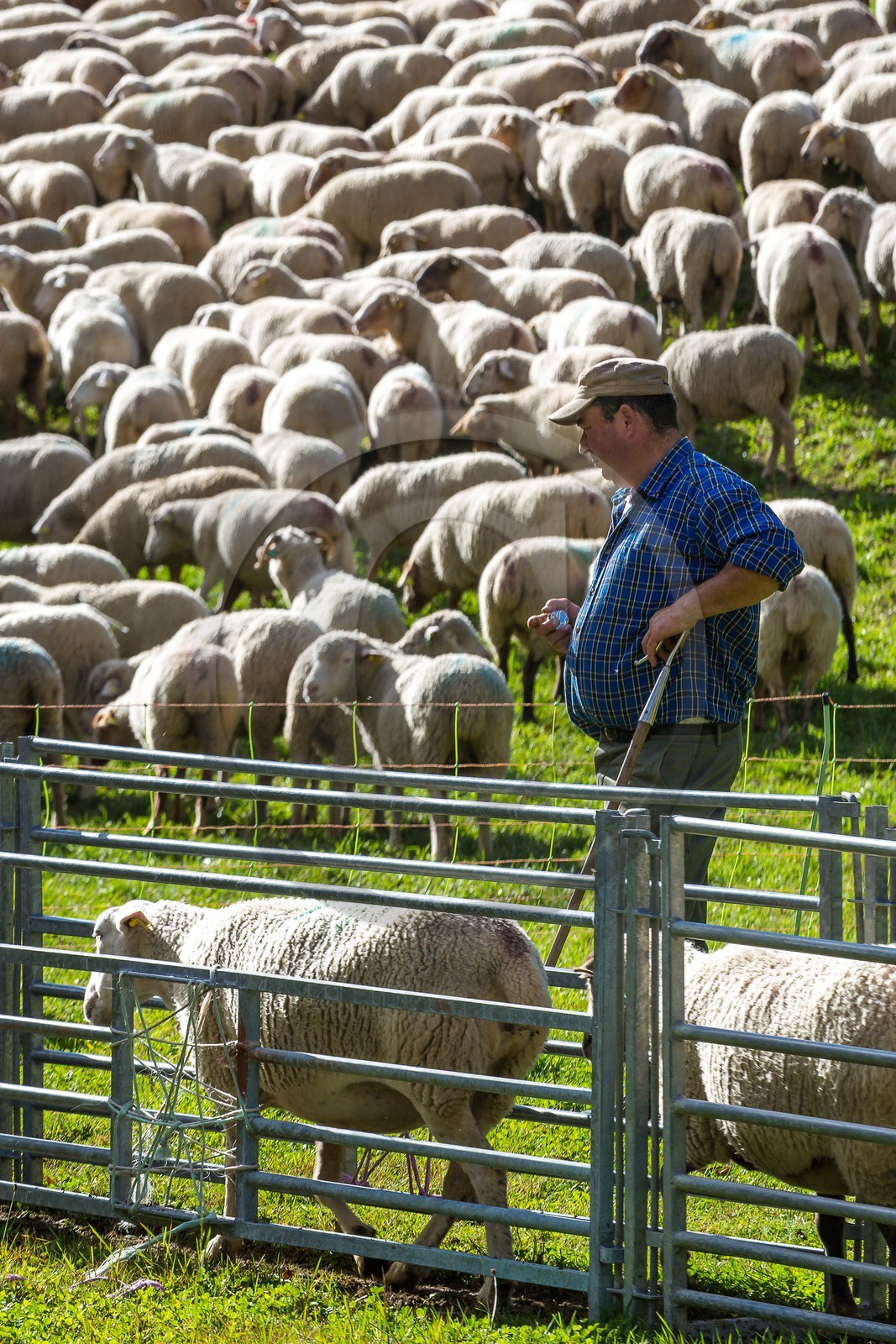Le Désert, désenmontagnage