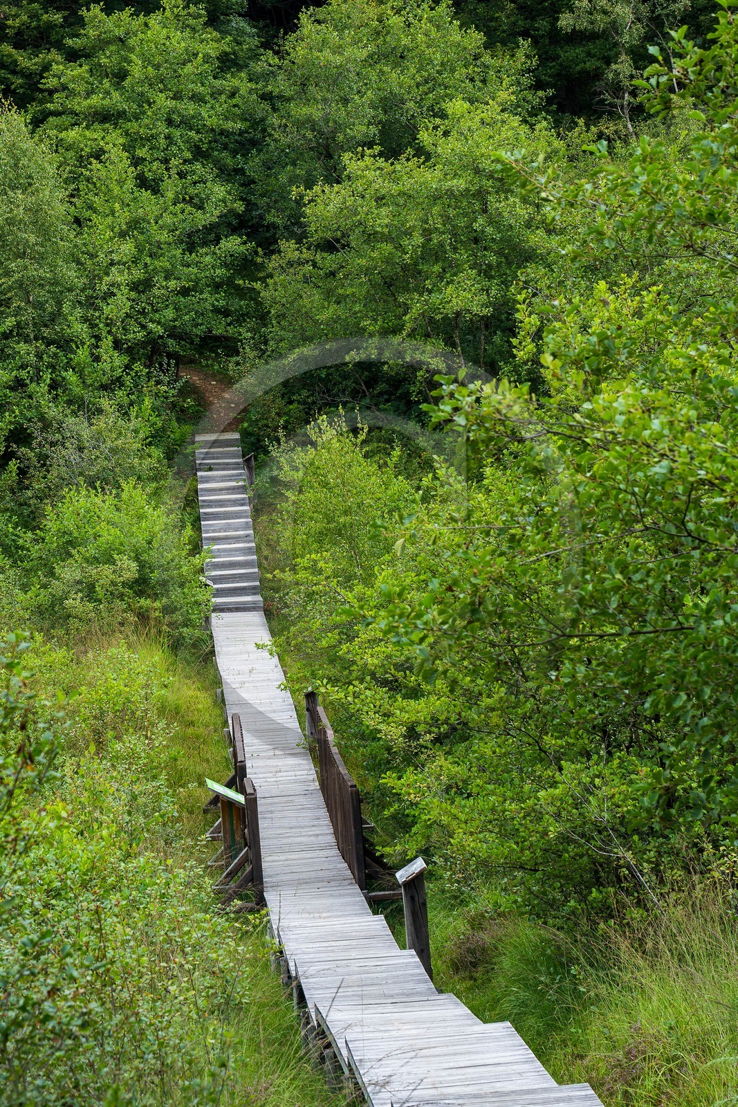 ENS de l'Isère, Tourbière des Planchettes