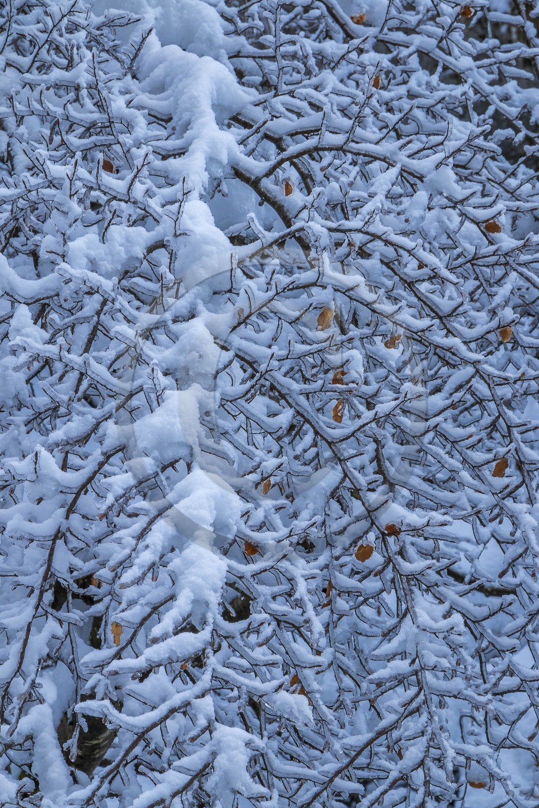 ENS de l'Isère, Les Ecouges