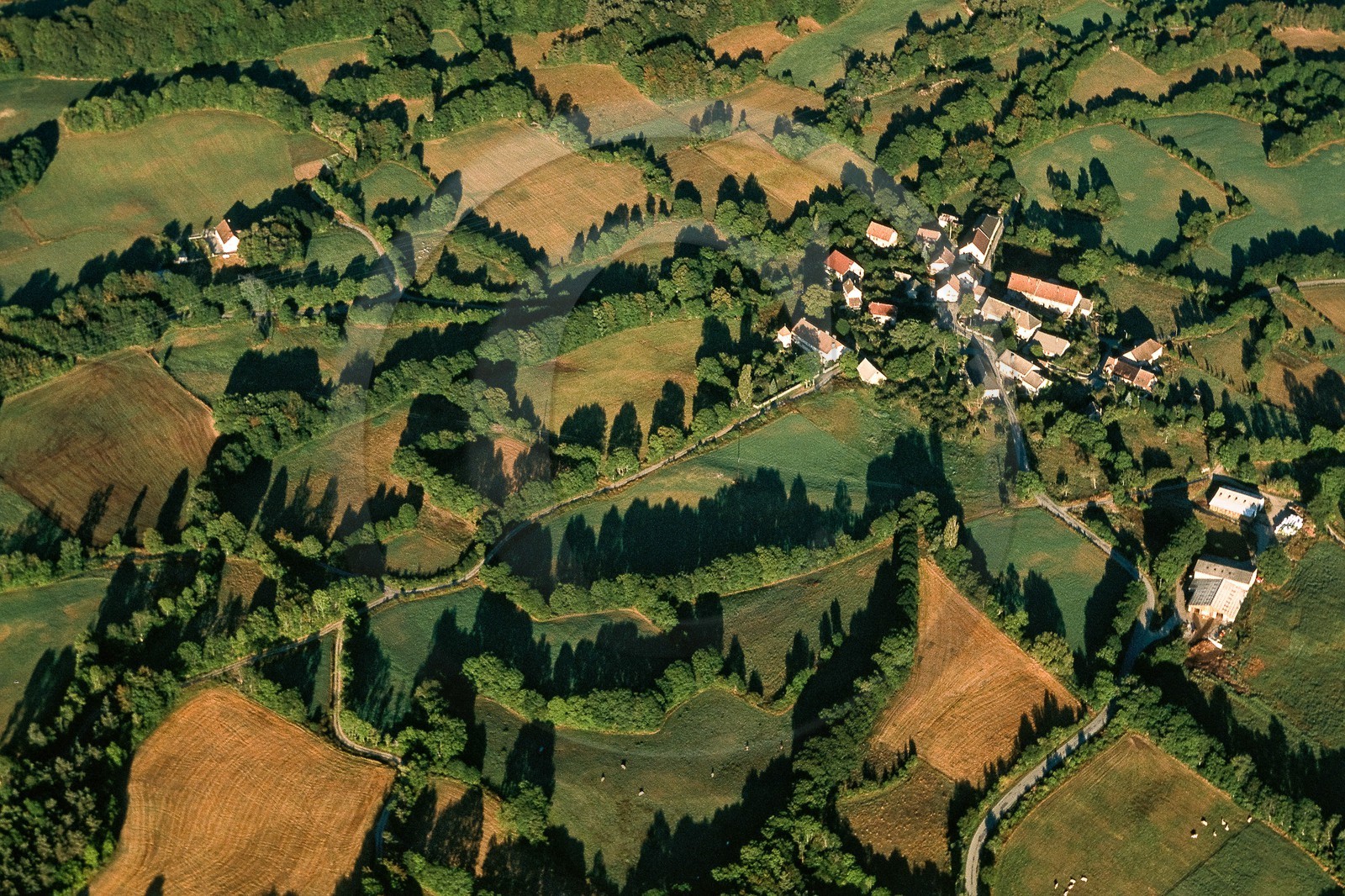 Vallée du Champsaur, le bocage