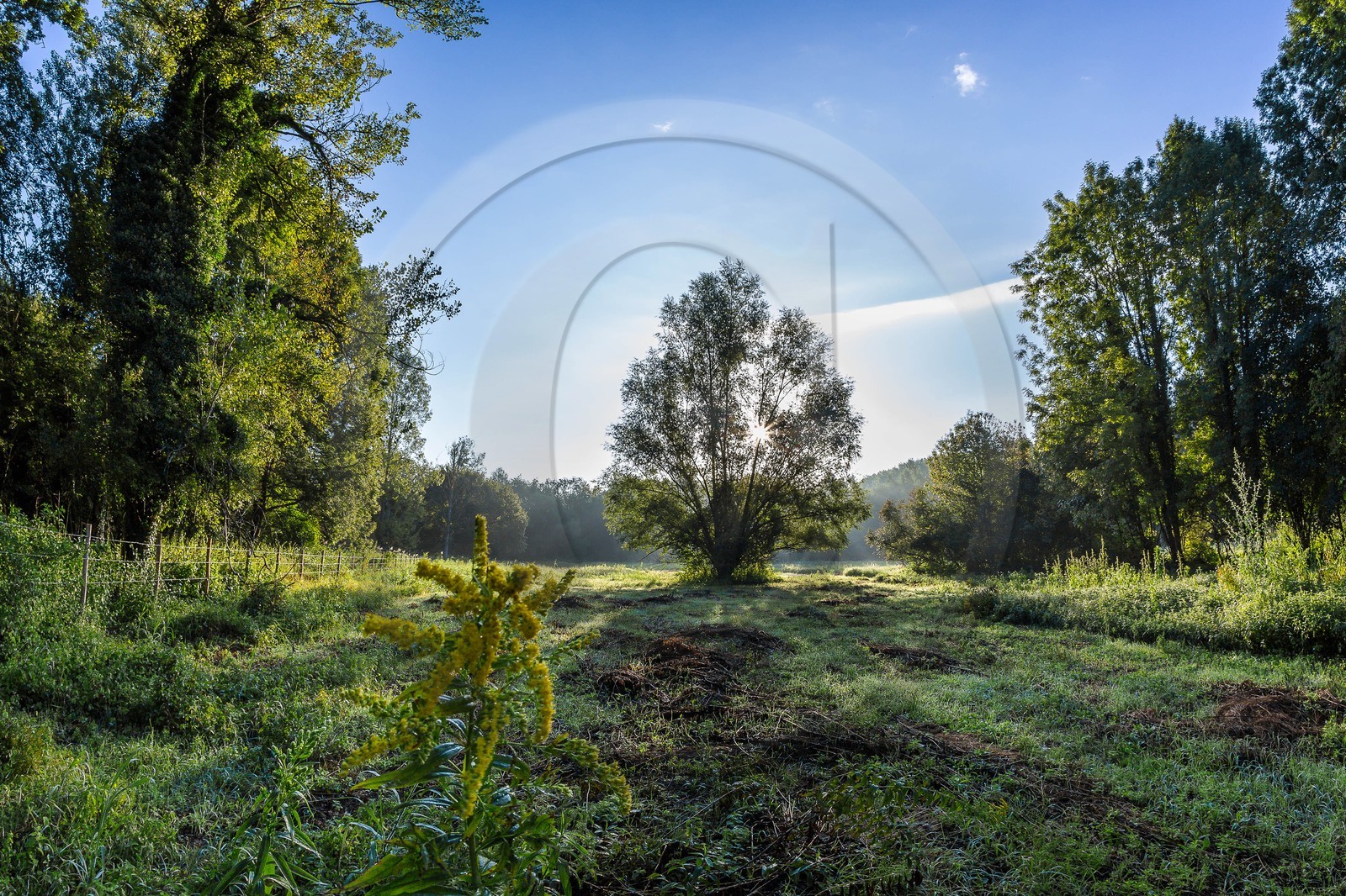 ENS de l'Isère, étang de Mai