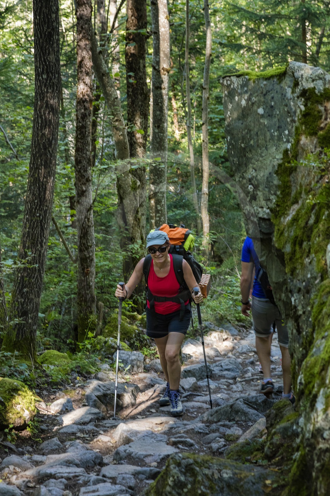 Randonnée pédestre sur le GR54