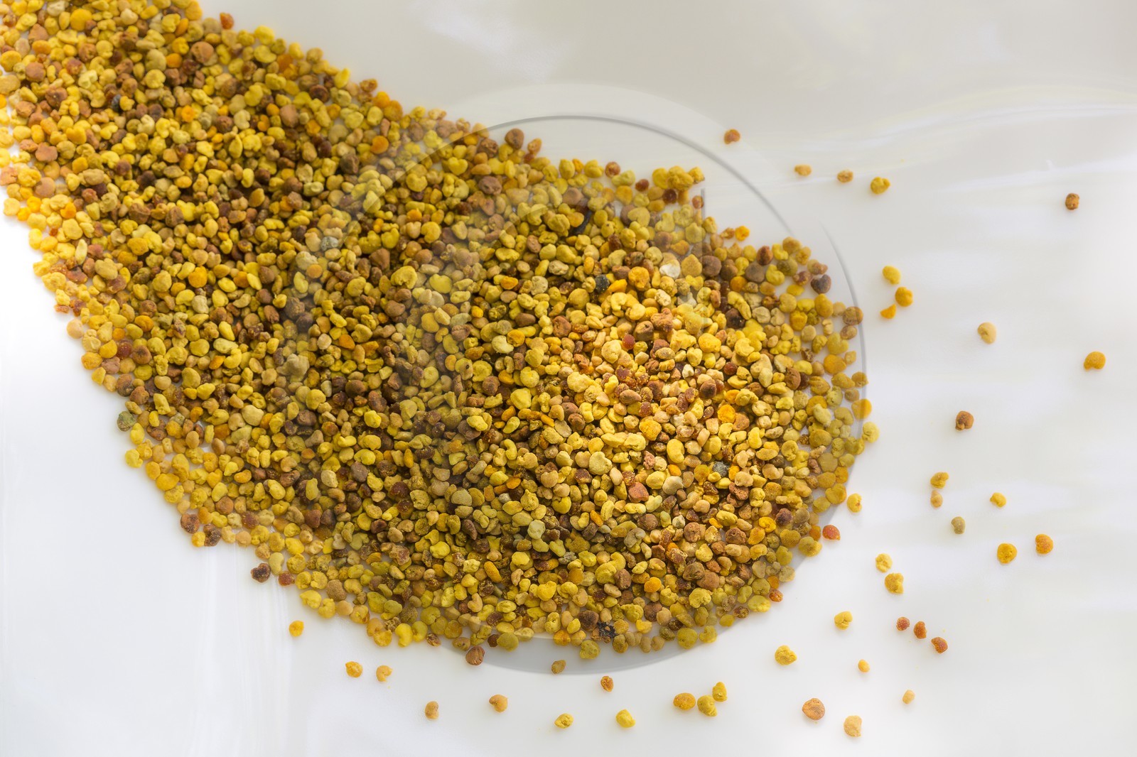 Mathieu Picavet, apiculteur